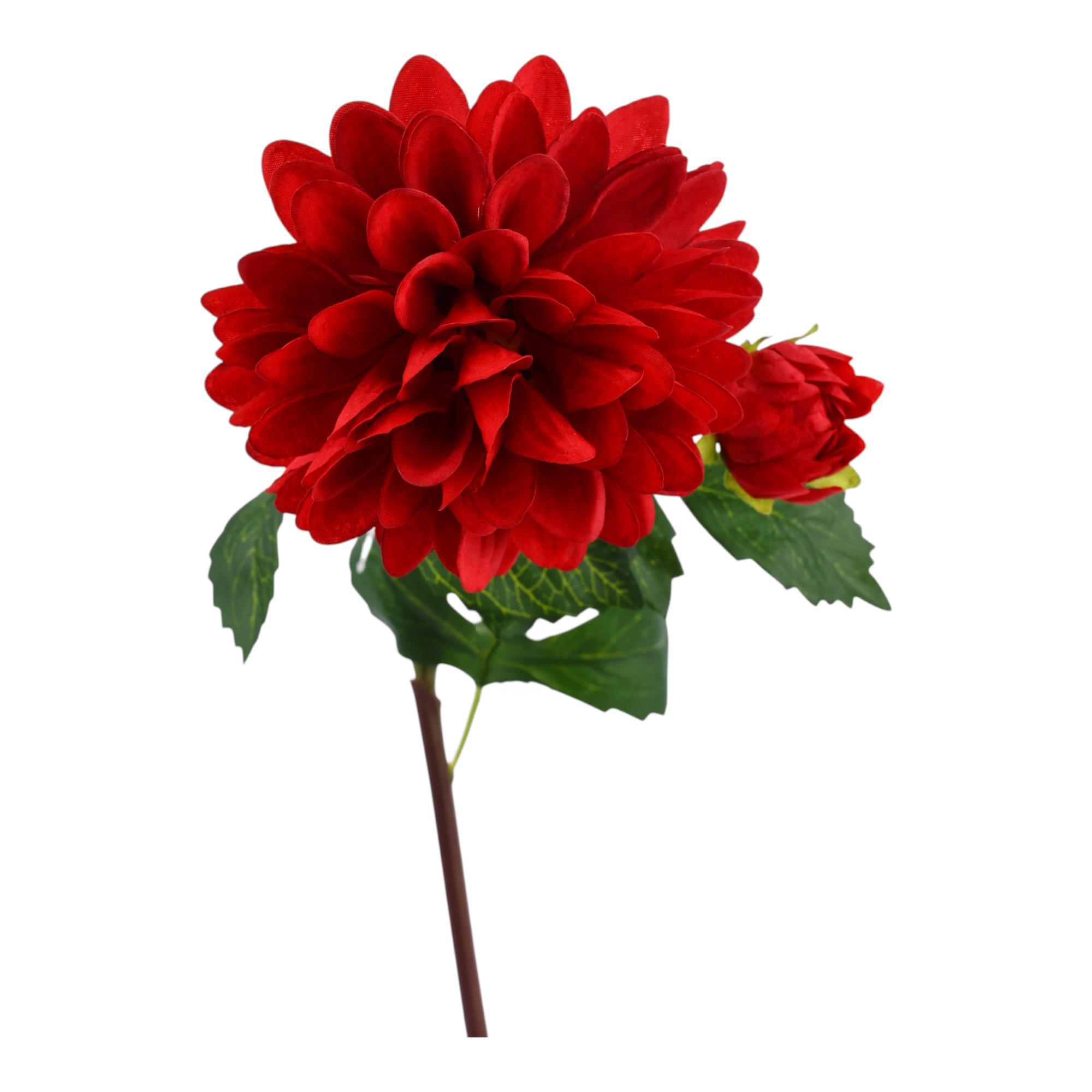 RAMA DALIA X70CM - 567-90017
