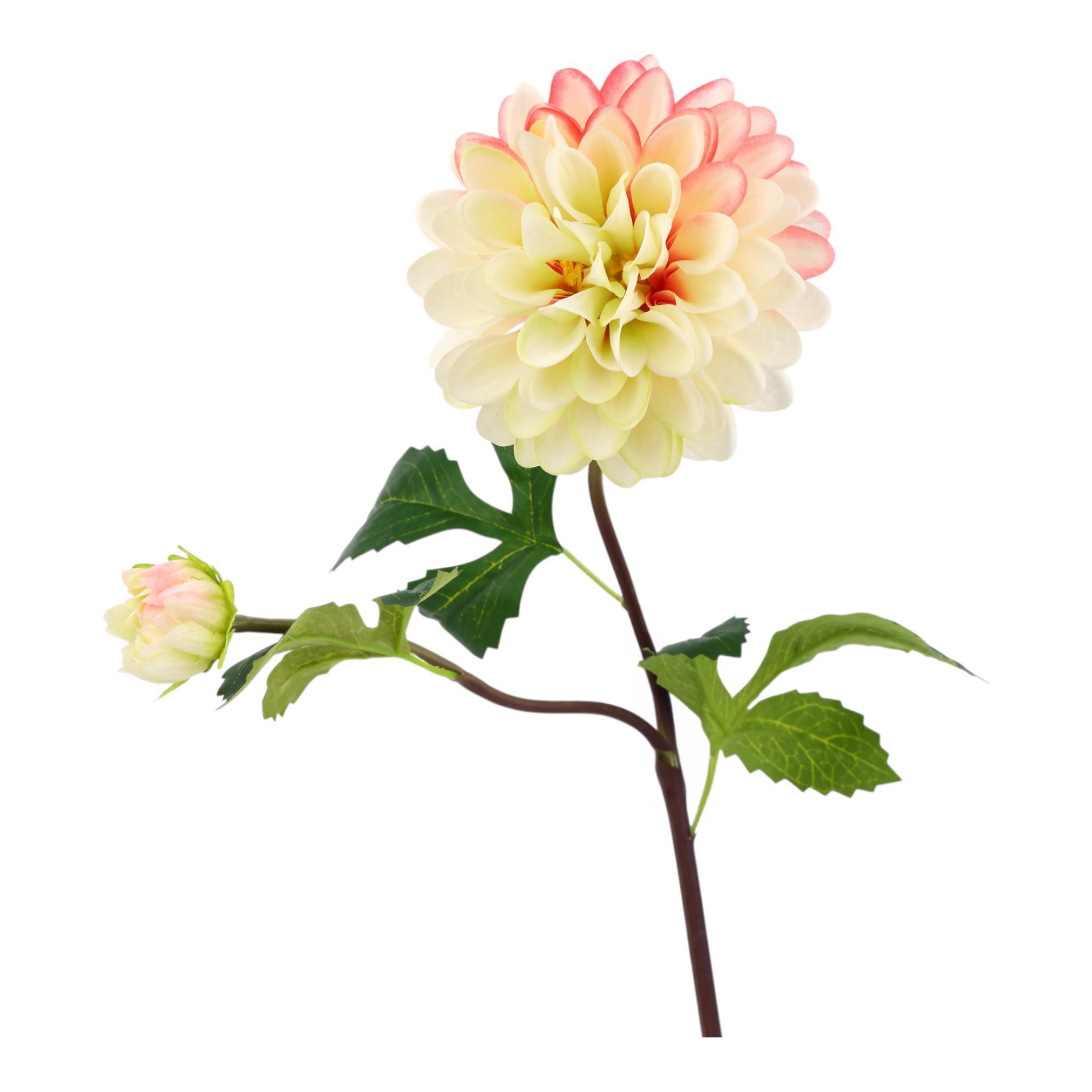 RAMA DALIA X70CM - 567-90018