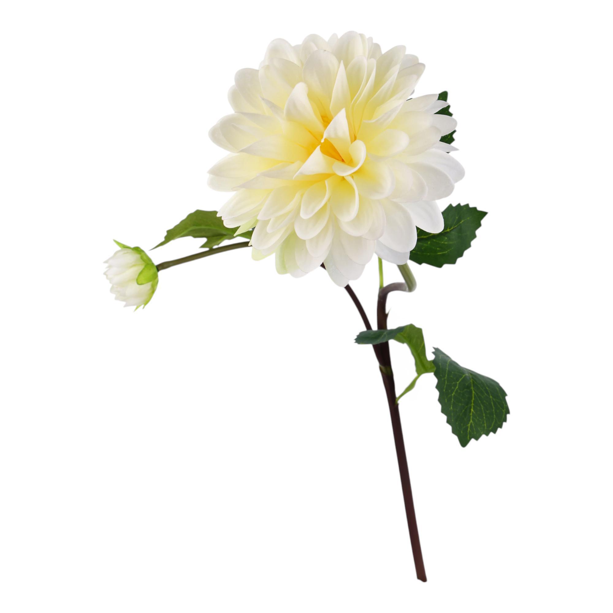RAMA DALIA X70CM - 567-90019