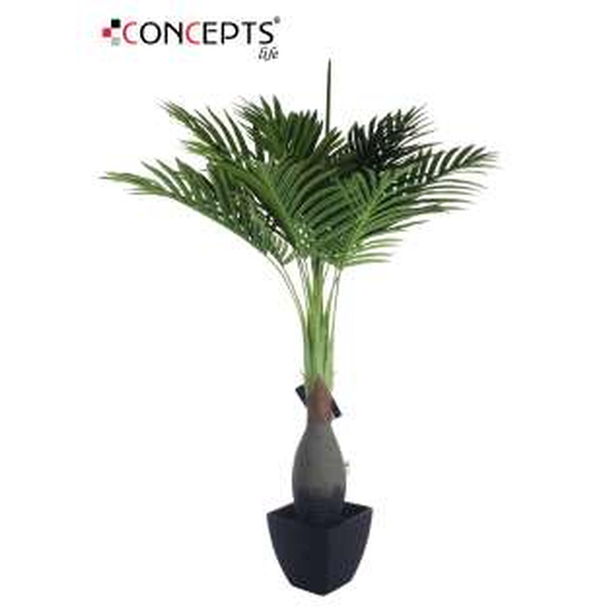 PALM TREE, 12LVS, IN 402#POT - 592-141168