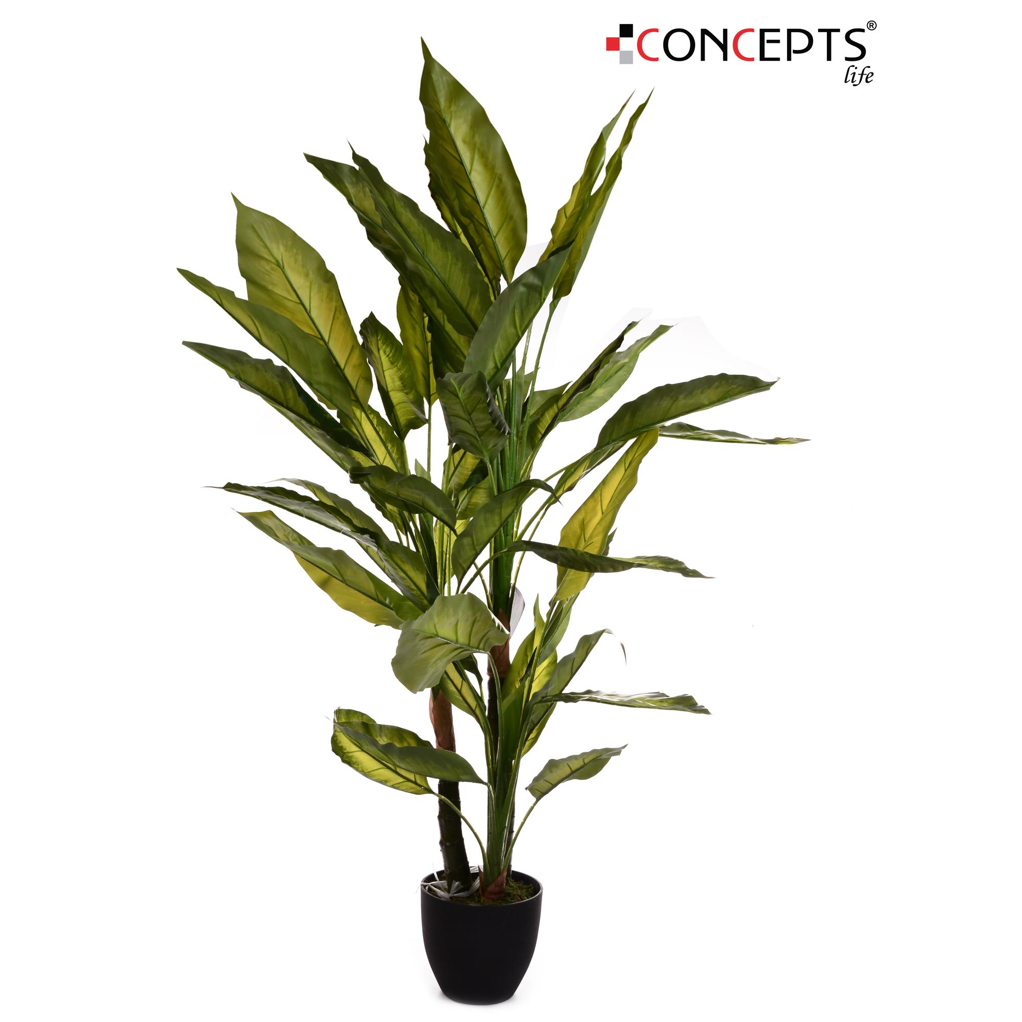 REAL TOUCH SPATHIPHYLLUM(YELLO - 592-141195