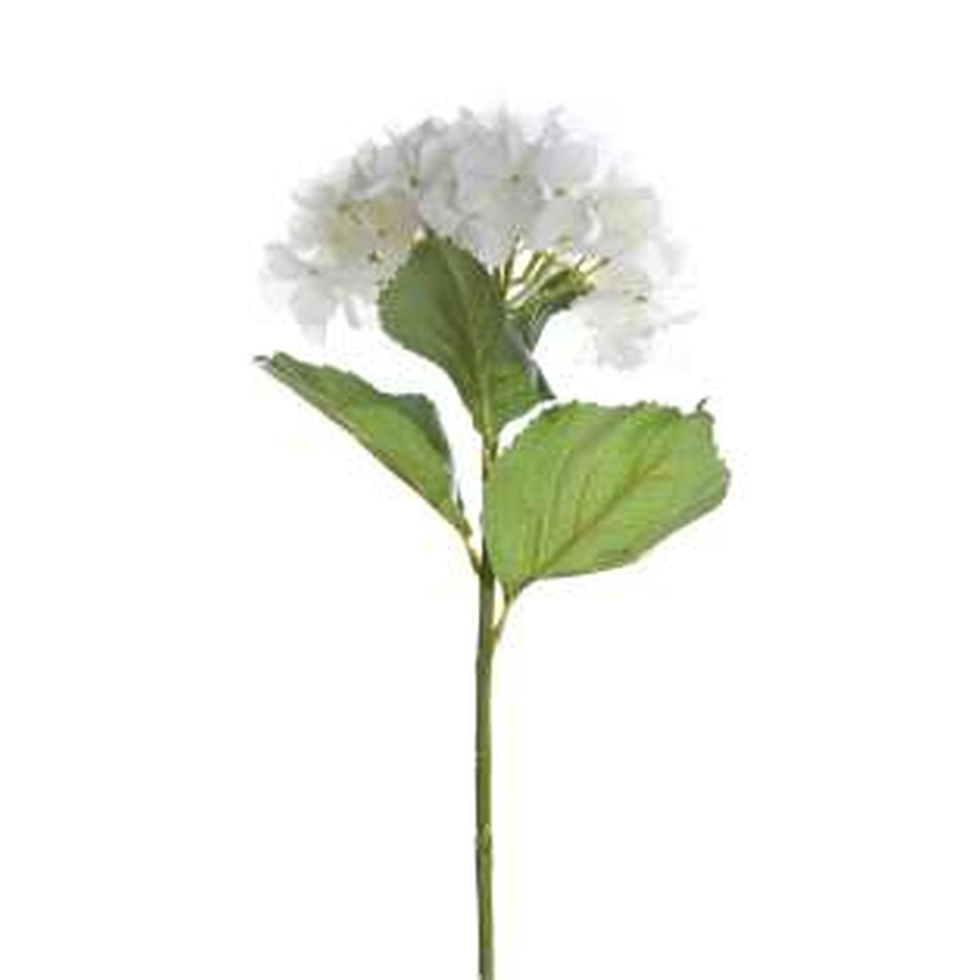 FLOR DE HORTÊNSIA BRANCA - 592-142581