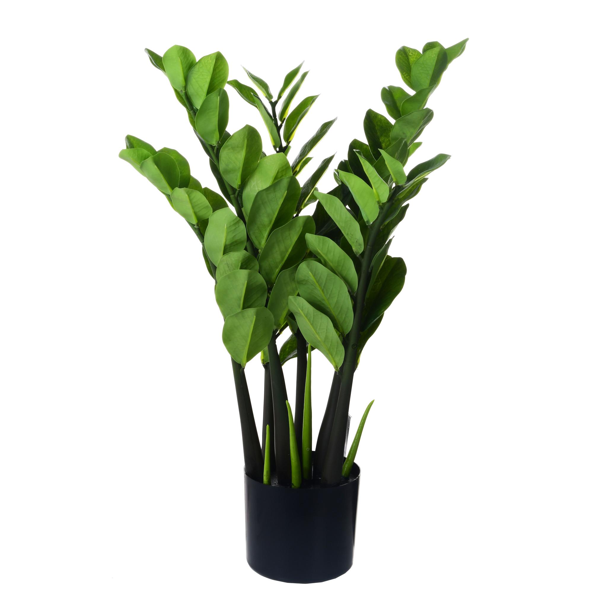 PLANT W/ POT 42X42X60 - 592-142644