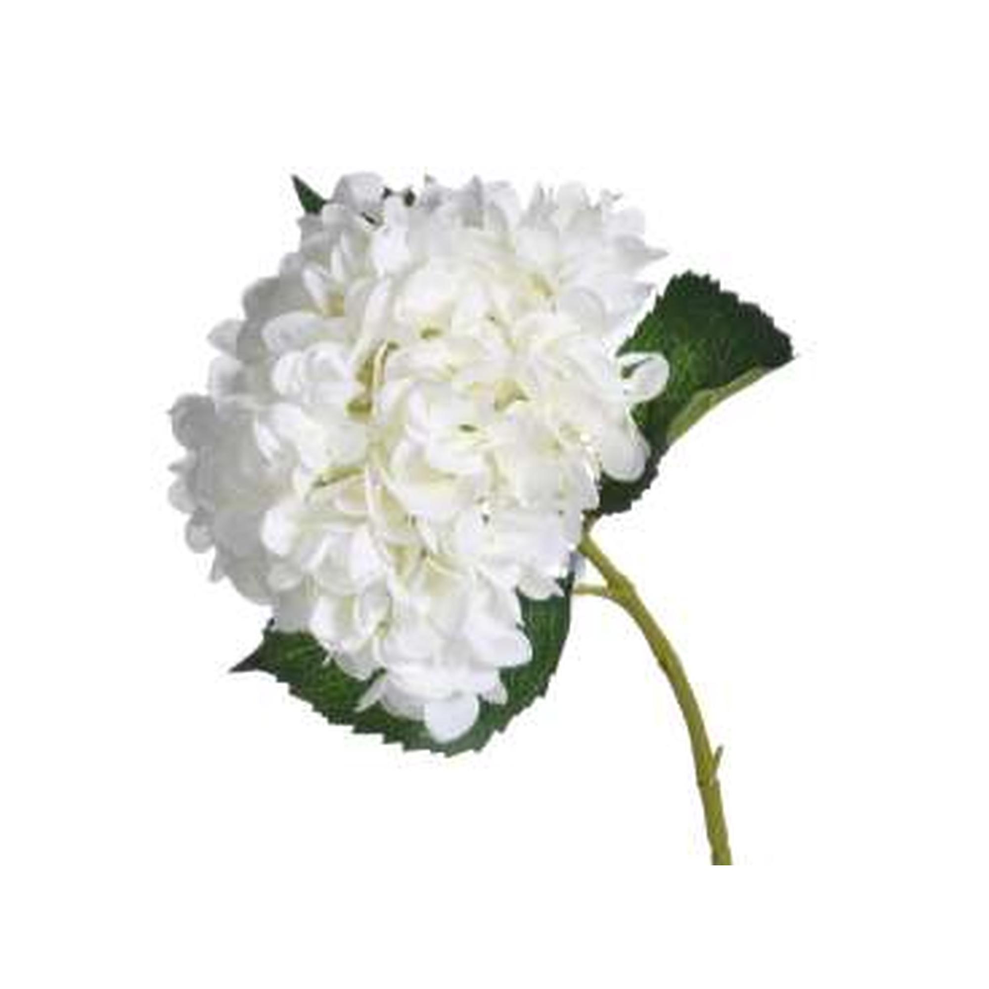 FLOR DE HORTÊNSIA BRANCA DIA 21X2 - 592-142746