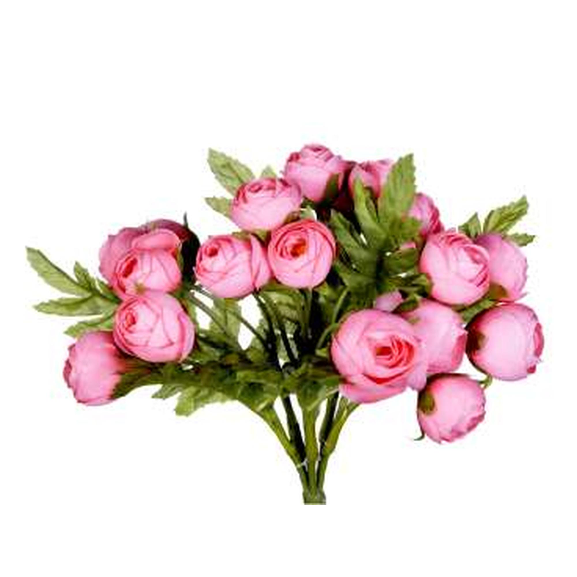 Rose bush x 8 - 592-142812