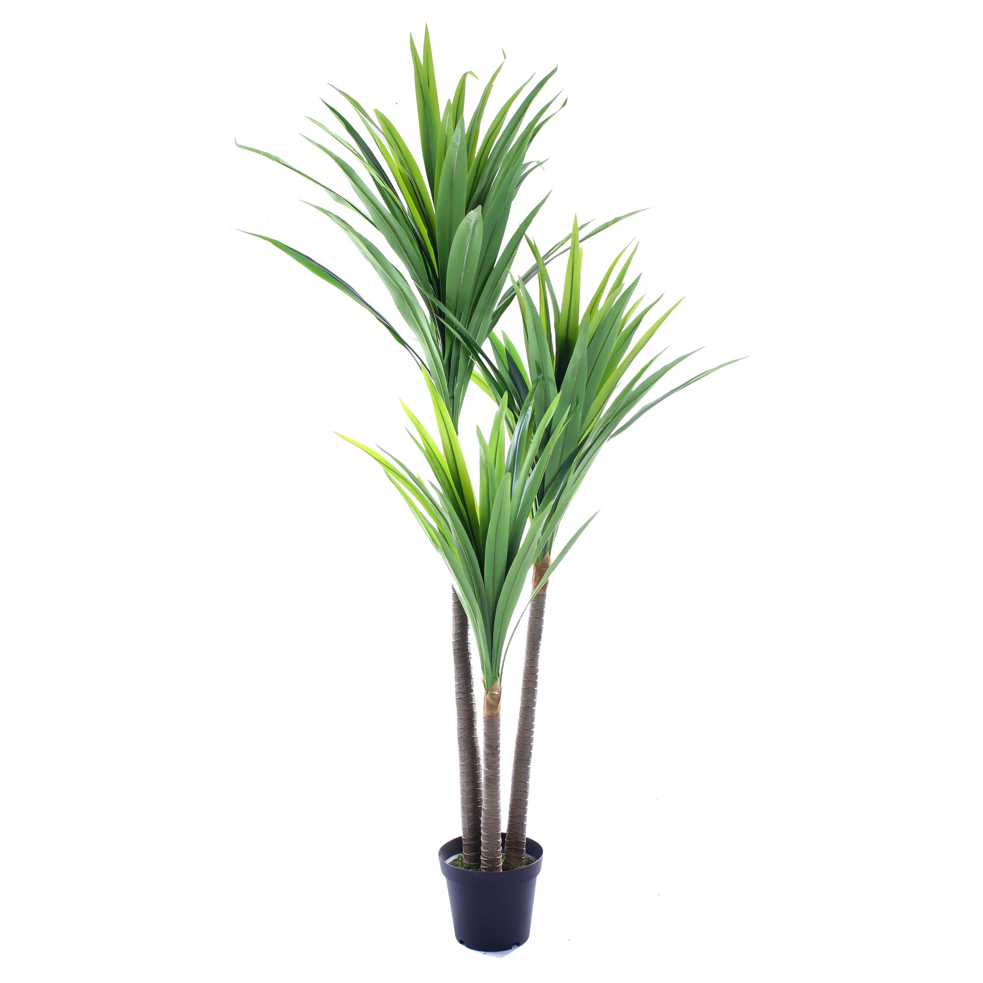 PLANTA CON POTE    200 CM - 592-143097