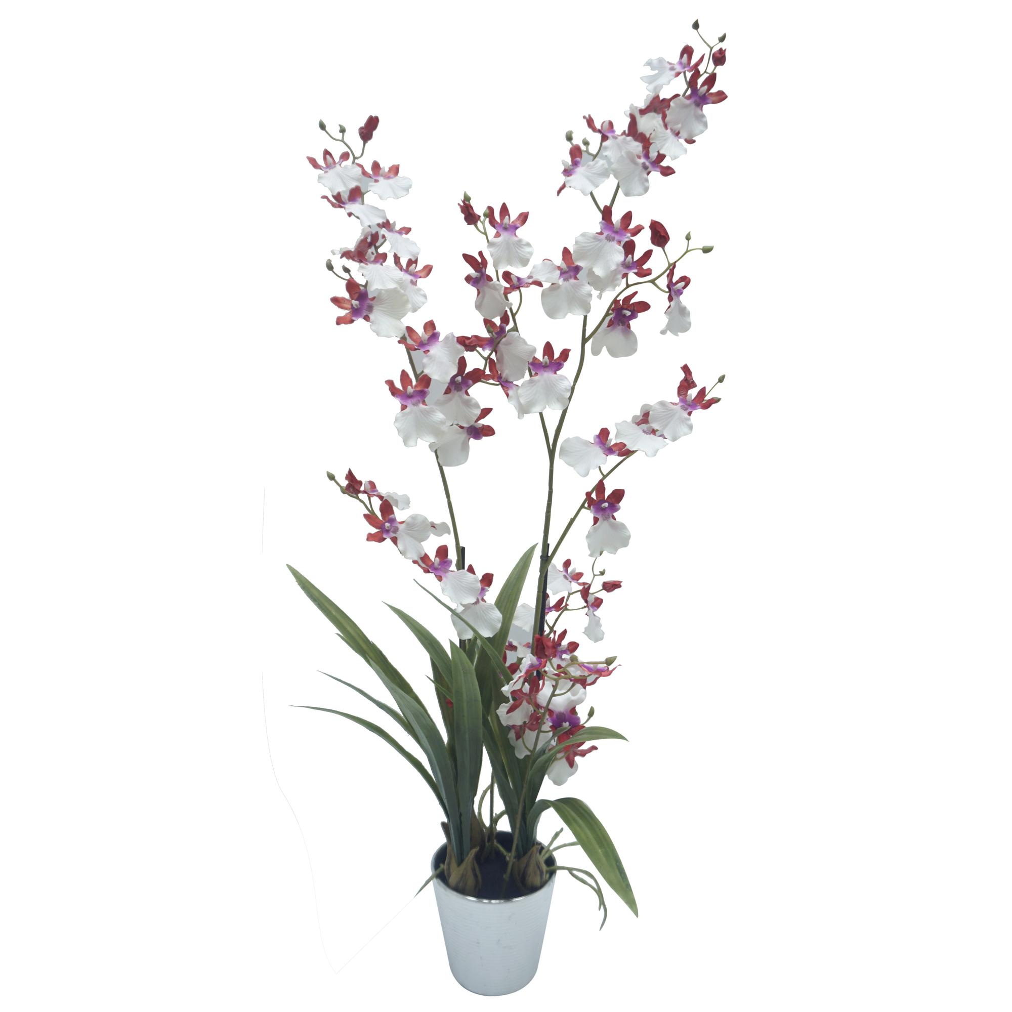FLOR ORQUÍDEA BRANCA/FÚCSIA - 592-143131
