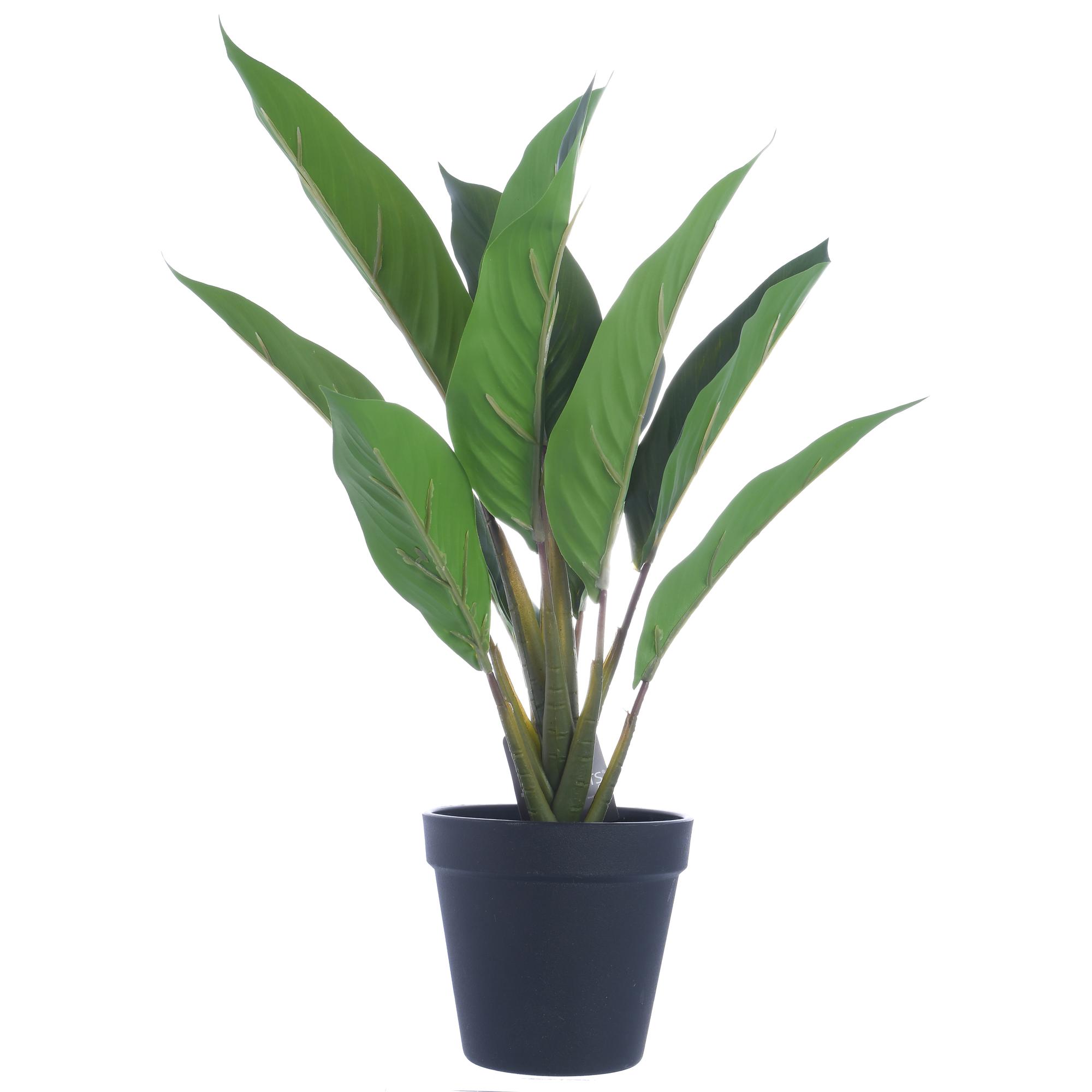 PLANTA DE ARTE C/VASO - 592-143156