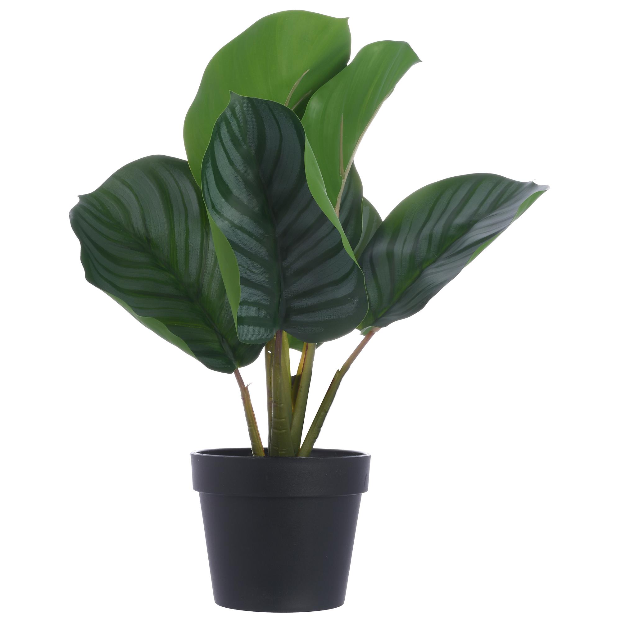 PLANTA DE ARTE C/VASO - 592-143157