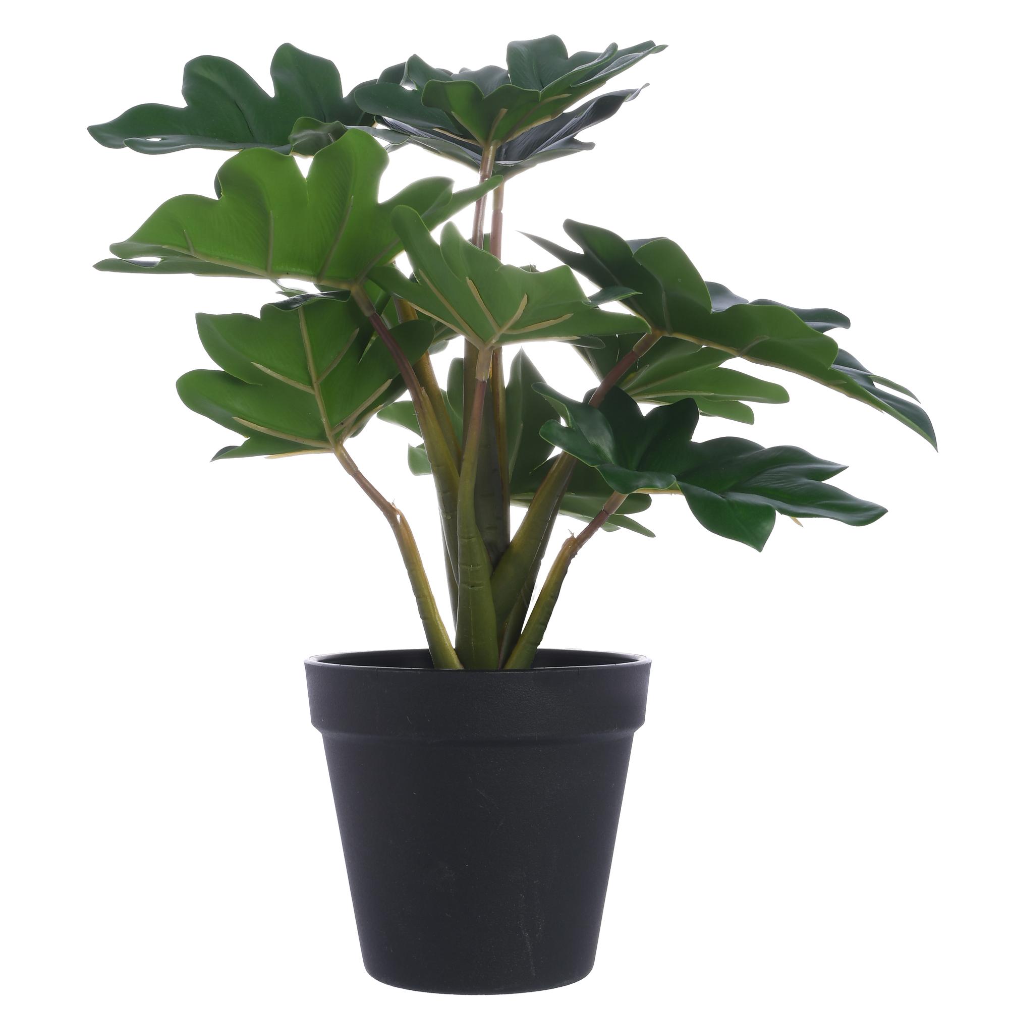 29cm Real touch philodendron x11 lvs in plastic pot(Pot siz - 592-143160