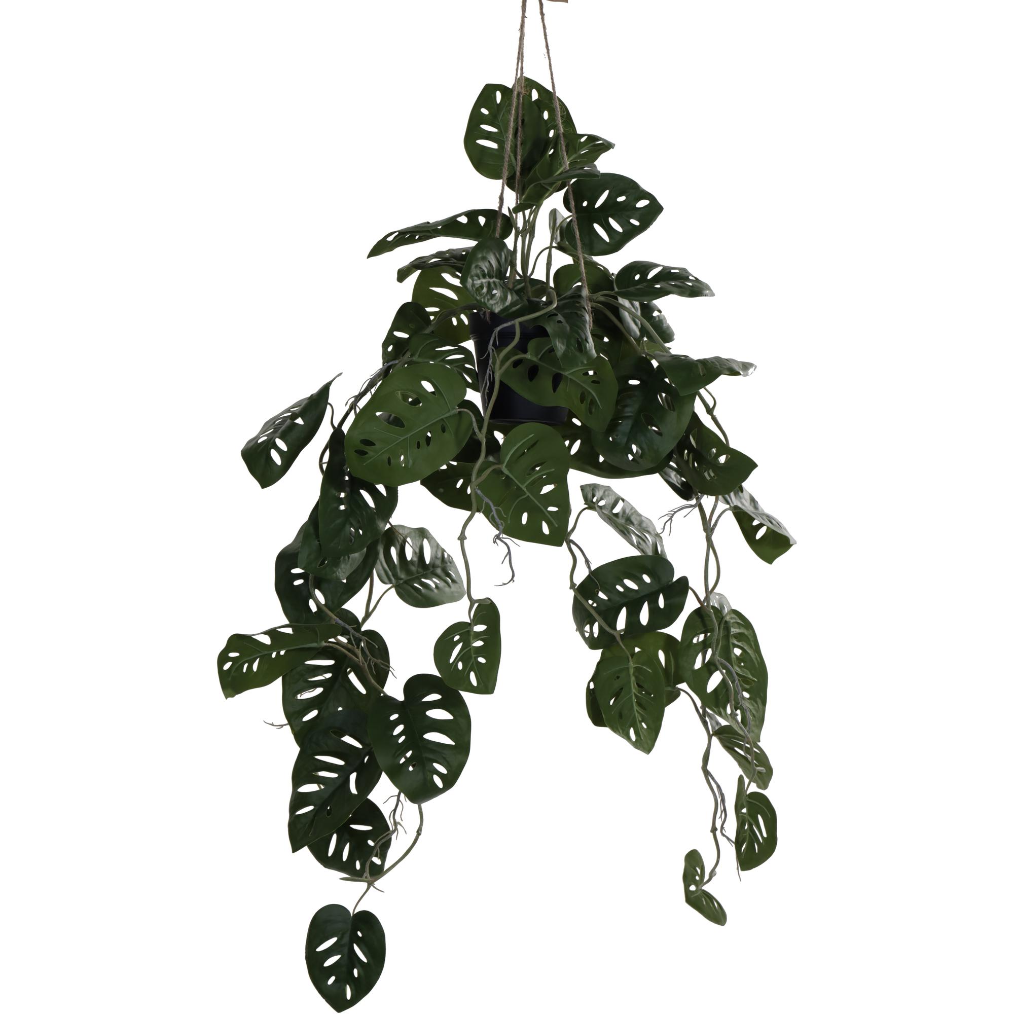 105CM REAL TOUCH MONSTERA FRIEDRICHSTHALII HANGING BUSH X 10 - 592-143188