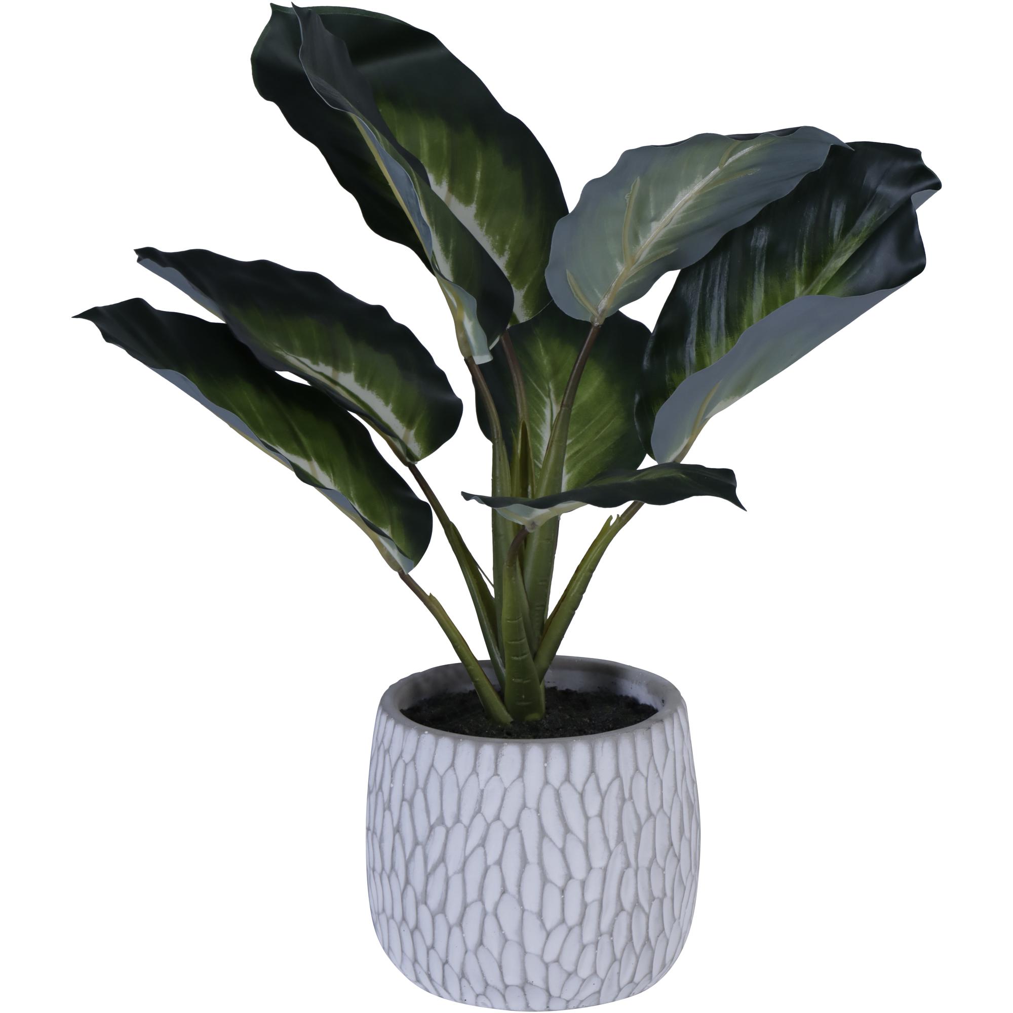 PLANTA C/VASO 30X30X36CM - 592-143203