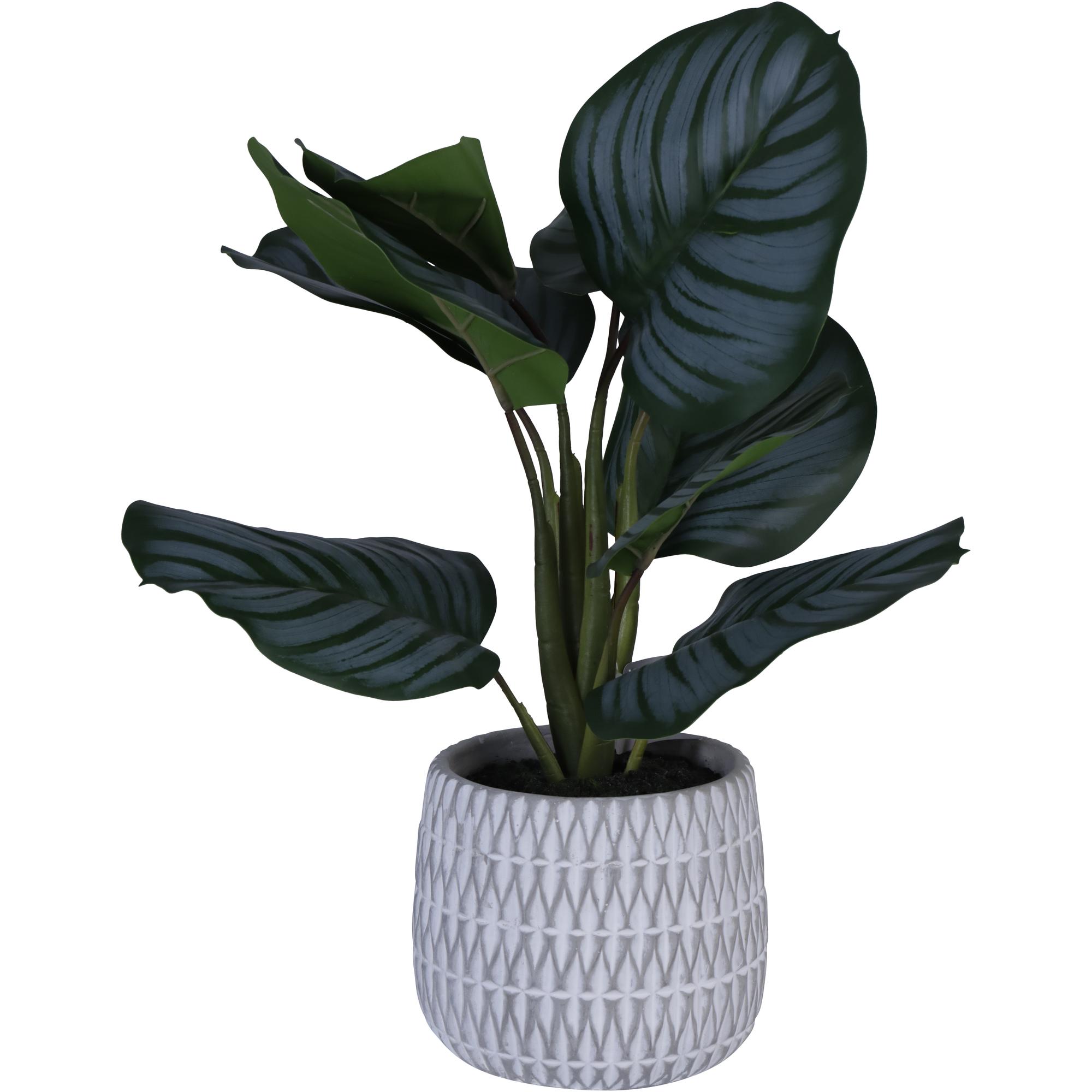 PLANT C/POT 35X32X39CM - 592-143206