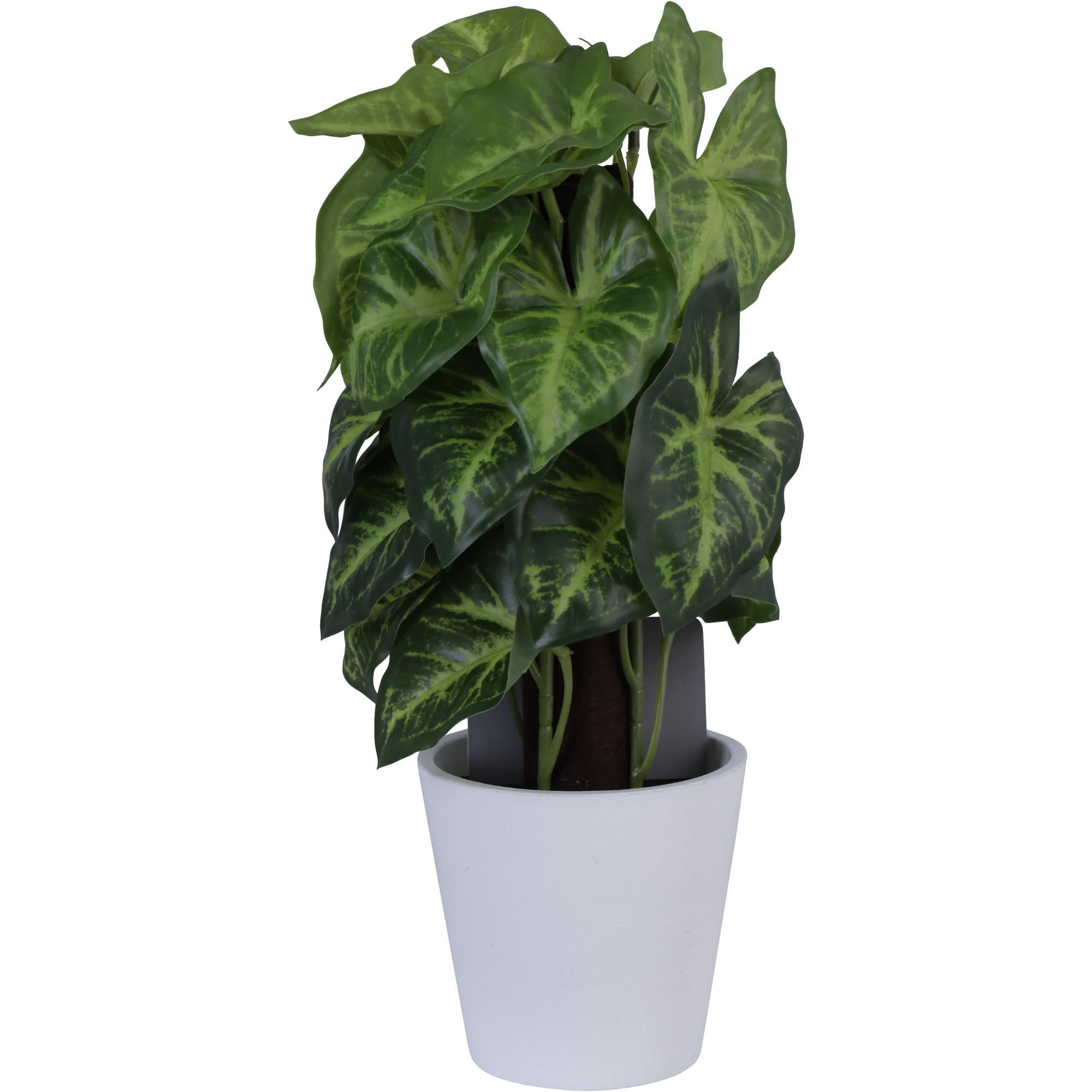 PLANTA C/POTE 15X15X25CM - 592-143215