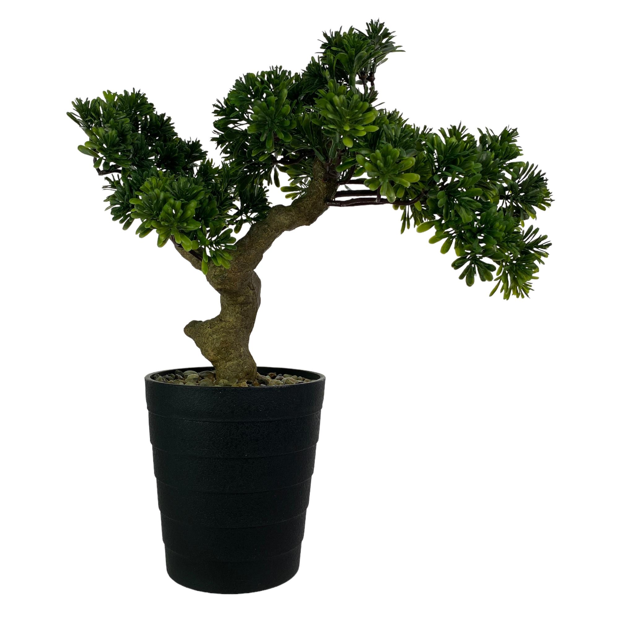 40cm Aglaia tree in plastic pot(Pot size:D14 x H15cm) - 592-143396