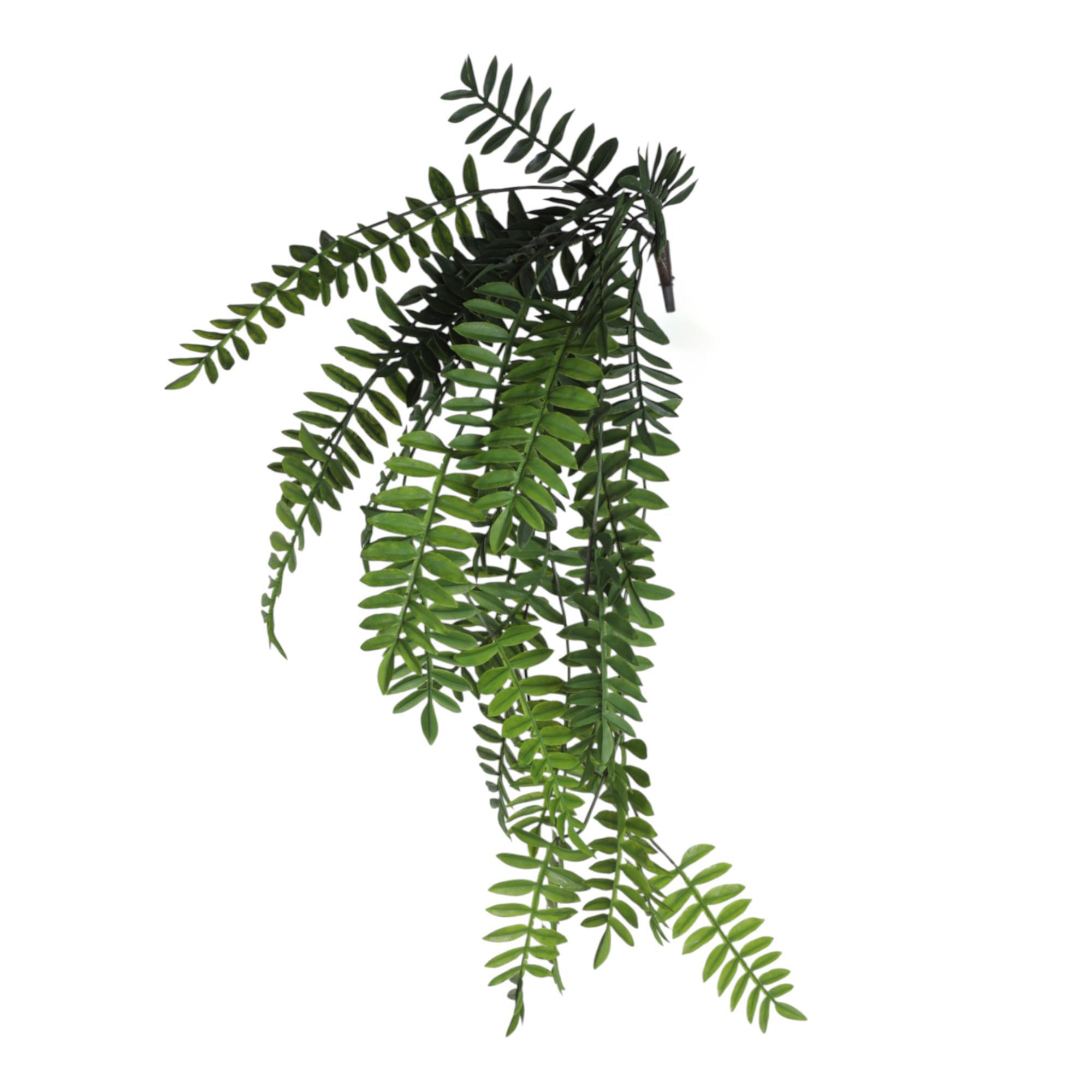 FOLHAS PENDURADAS - 592-1434422