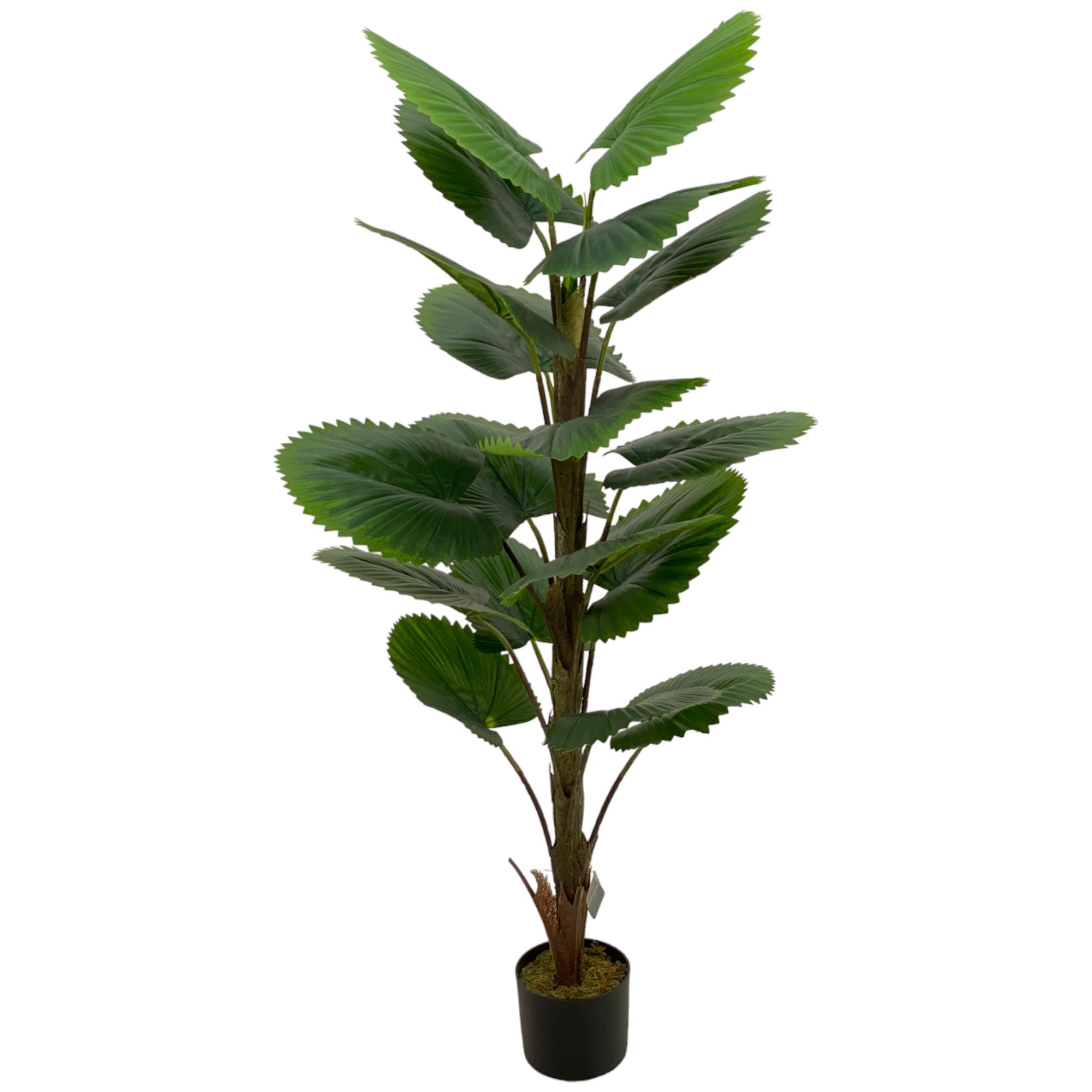 PLATA C/POTE - 592-143449