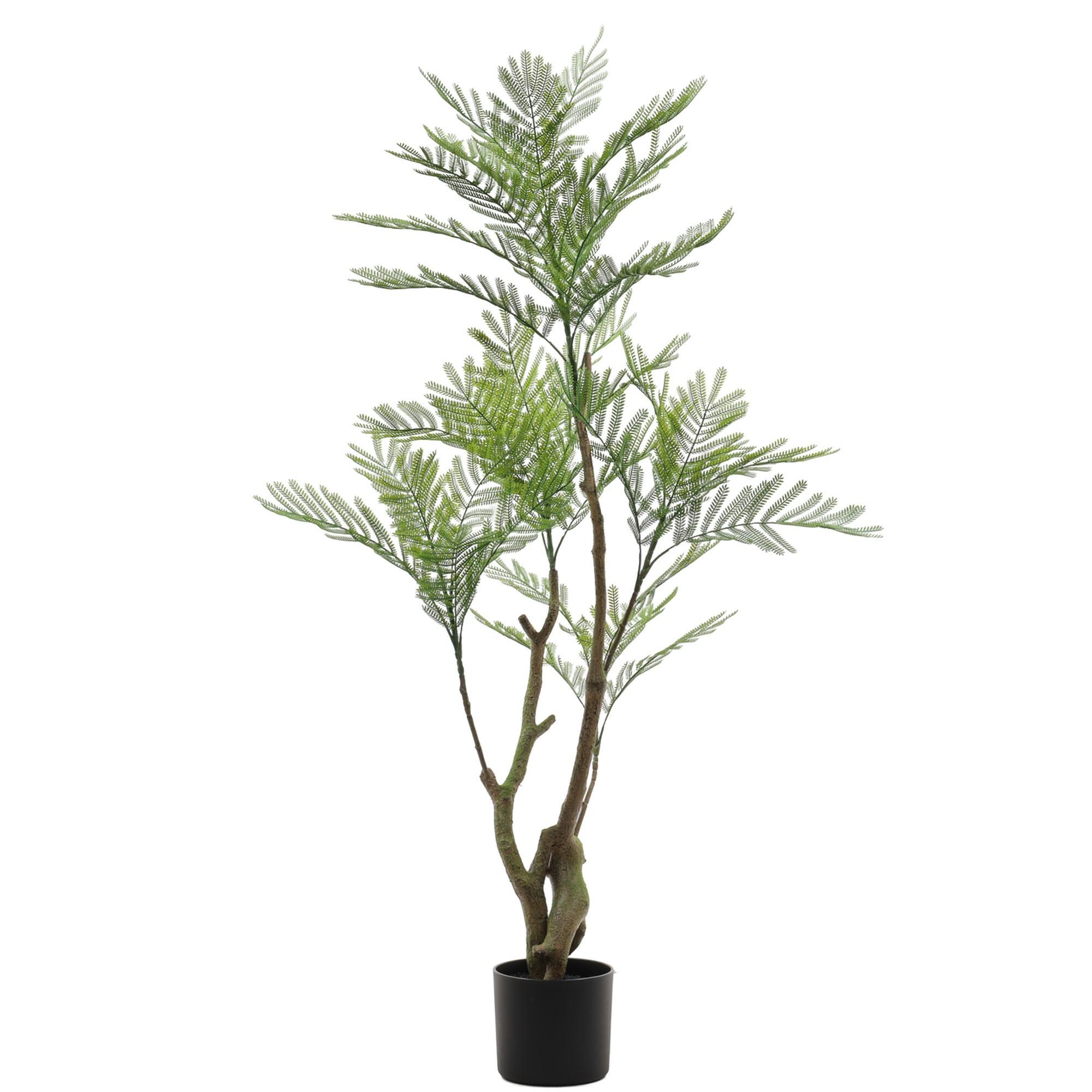 Jacaranda c/pote - 592-1434496