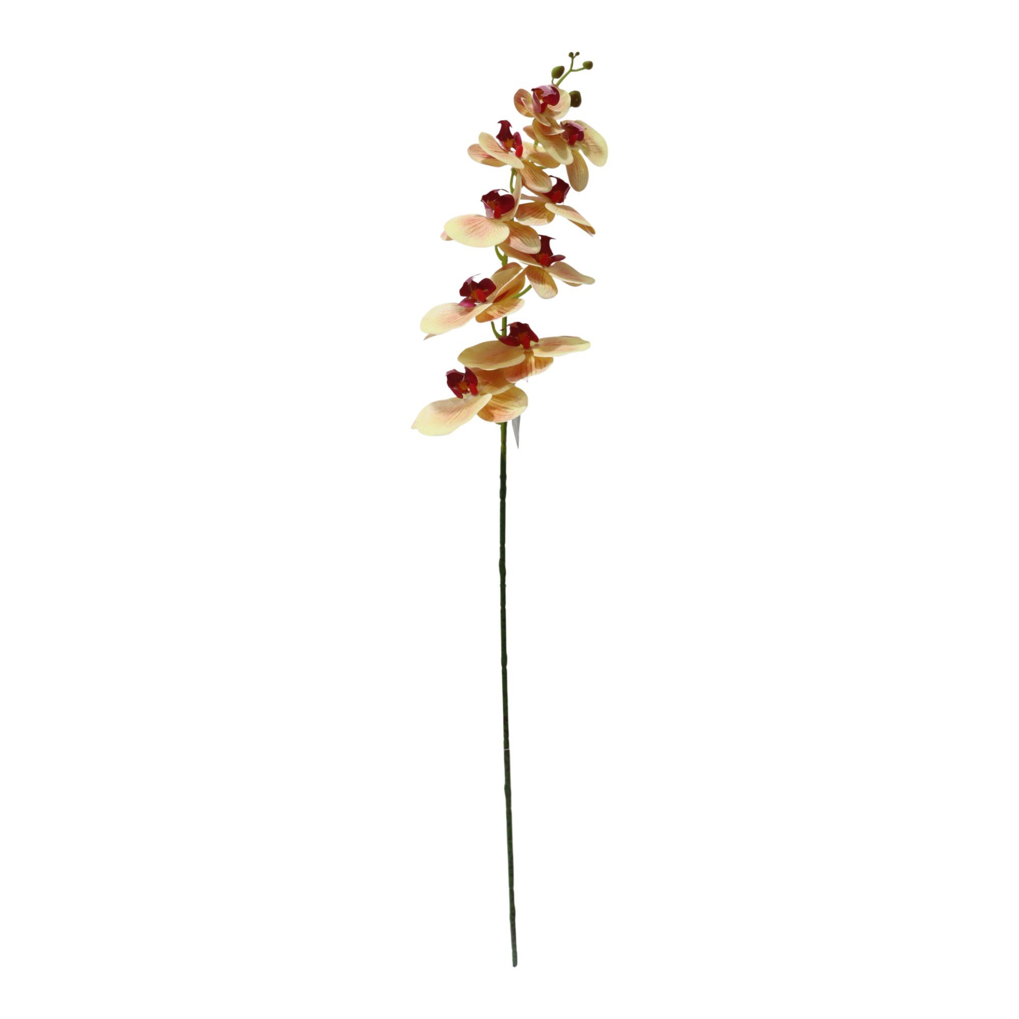 ORQUÍDEA 0X17.5X91 - 592-1434587