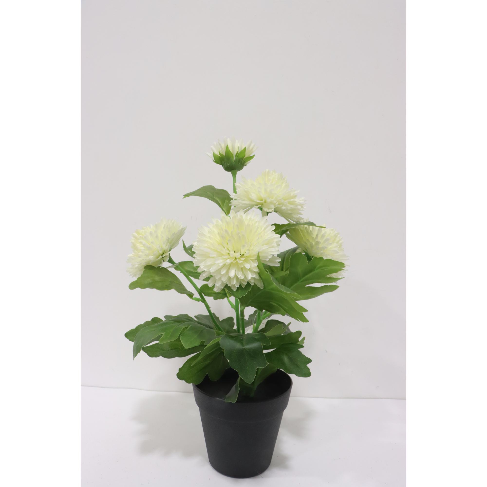 CRISANTEMO 25X25X40CM - 592-1434692