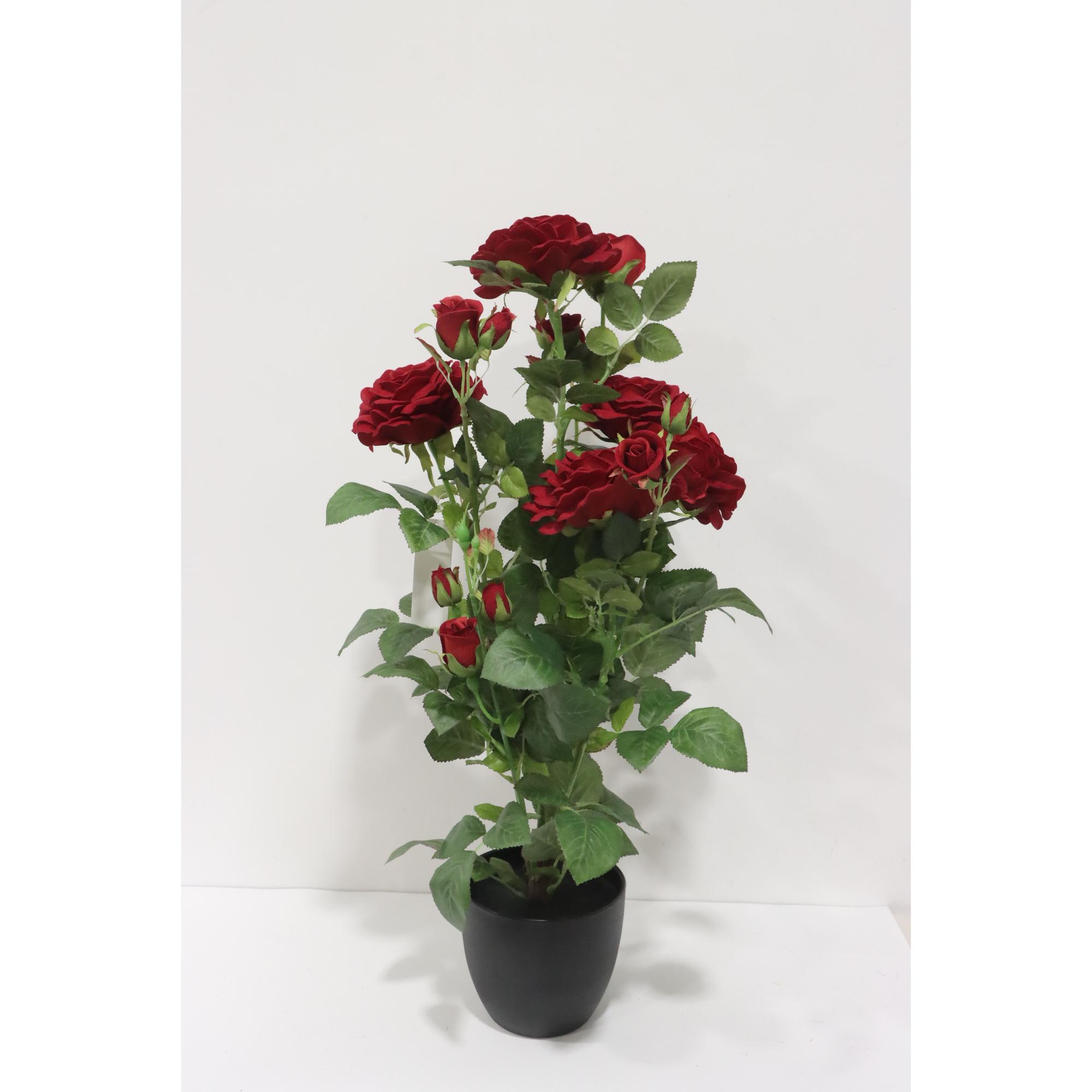 VELVET ROSE - 592-1434695