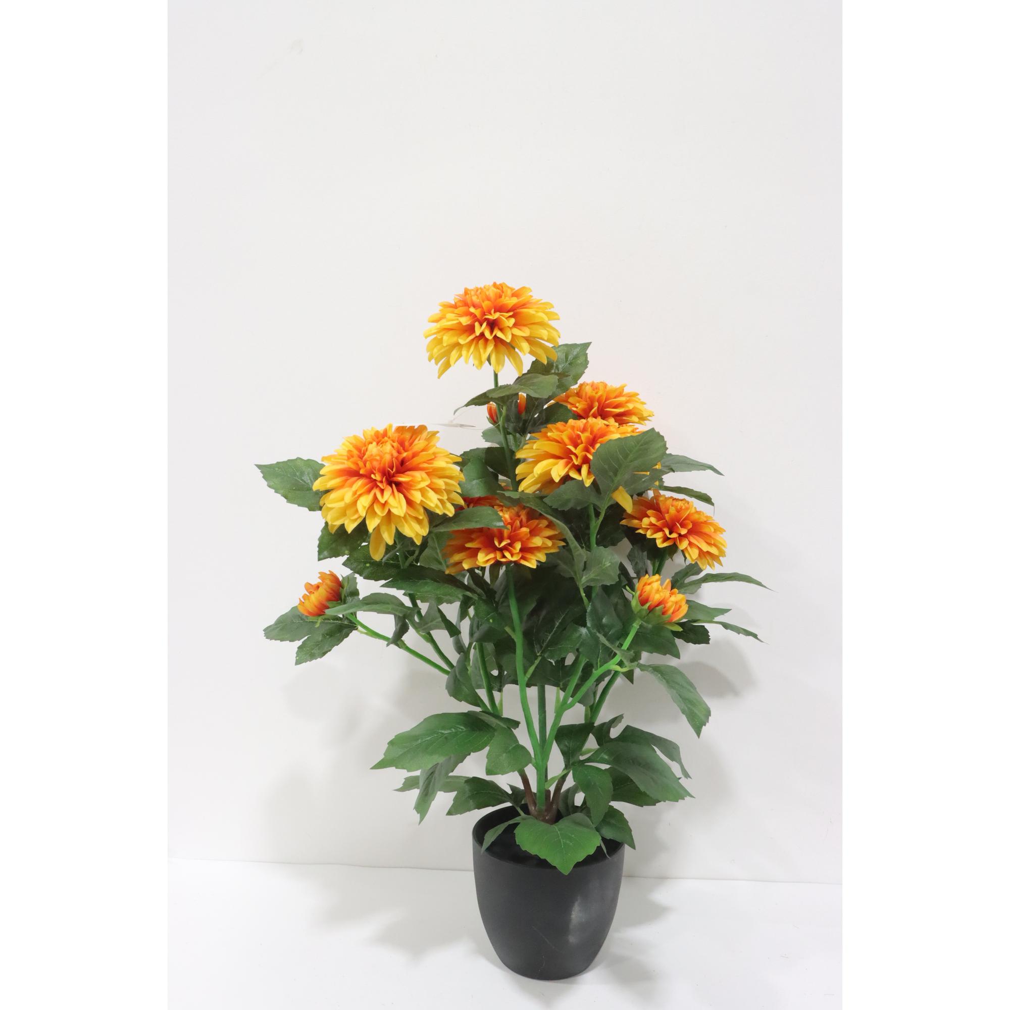 DALIA 45X45X62CM - 592-1434697