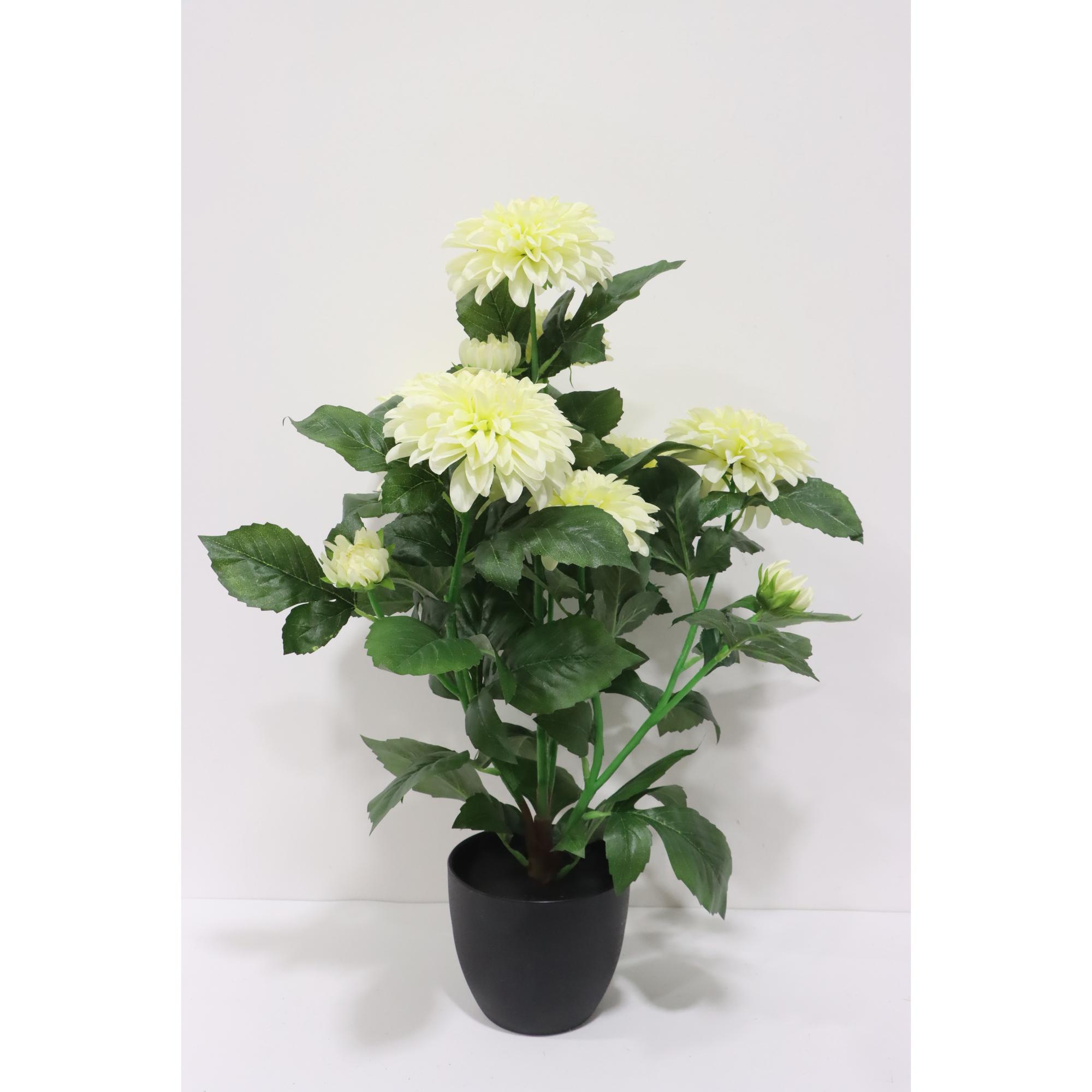 DALIA 45X45X62CM - 592-1434698