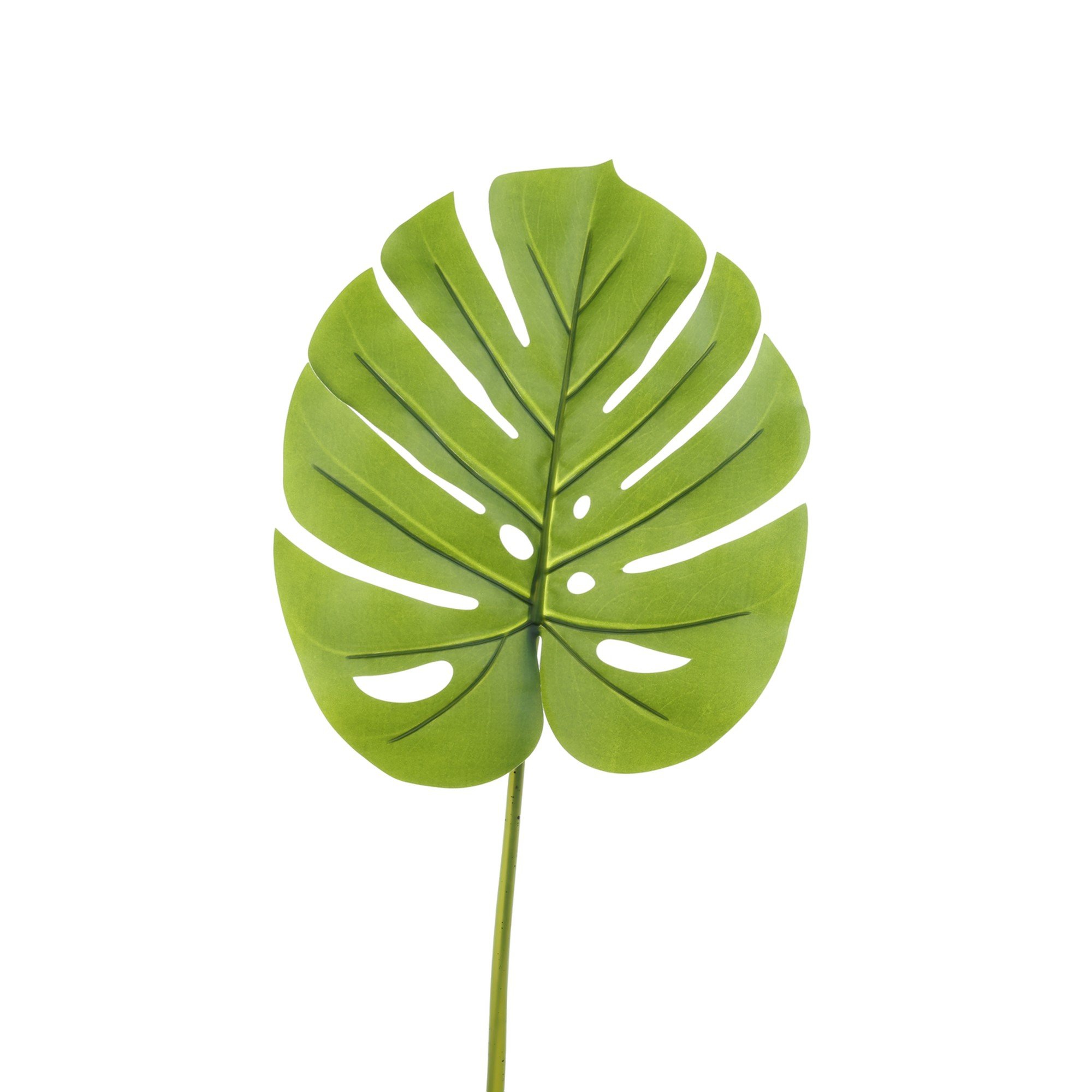 real touch monstera leaf - 592-1434723
