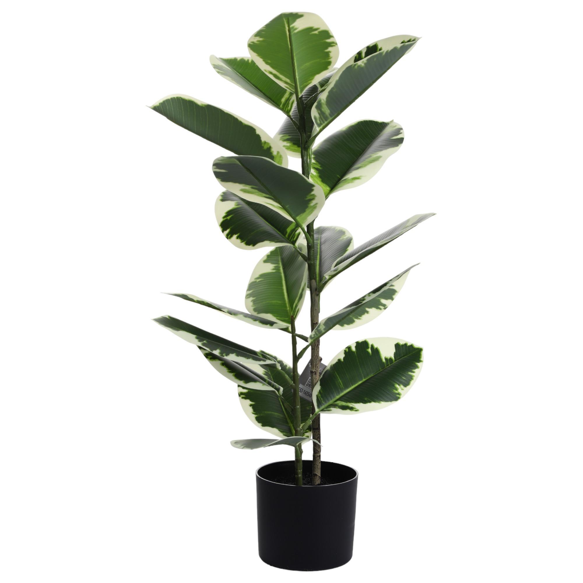 PLANTA COM VASO - 592-143540