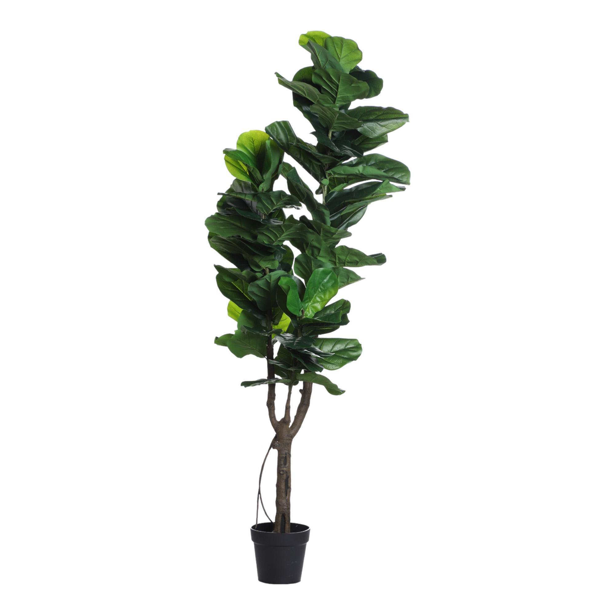 PLANTA/VASO X75X175 CM - 592-143544