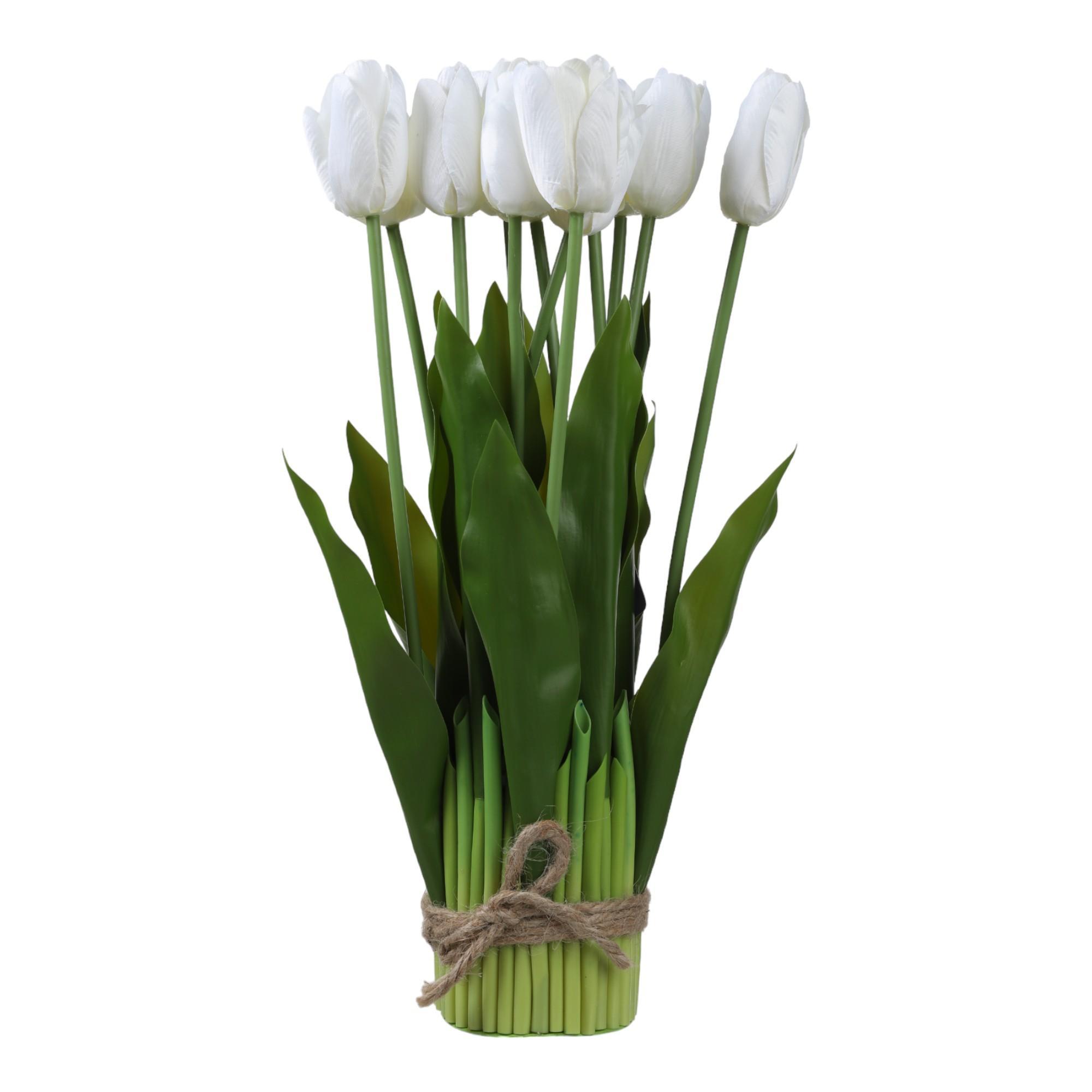 TUKIP C/POTE - 592-143575