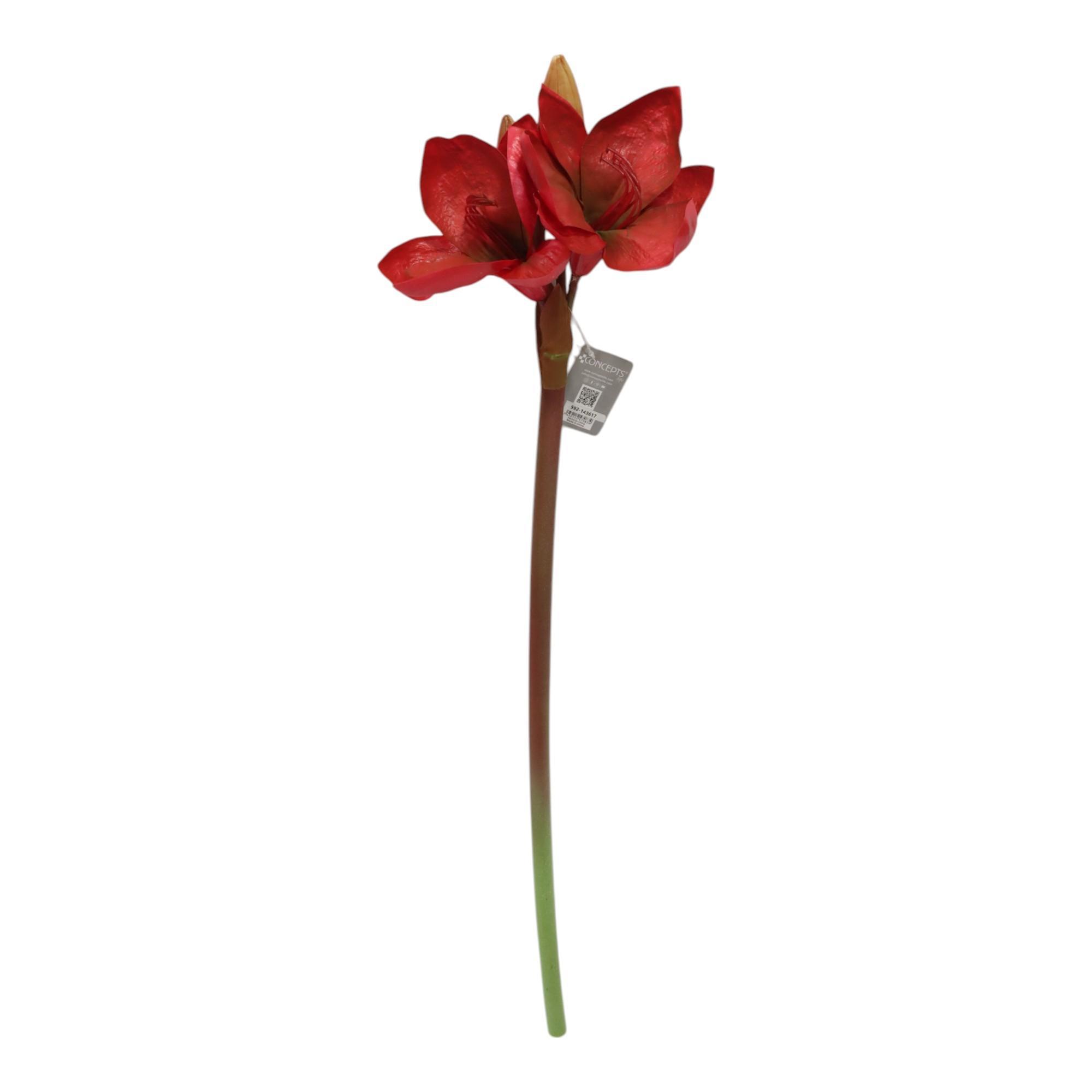 AMARILIS C/POTE - 592-143617