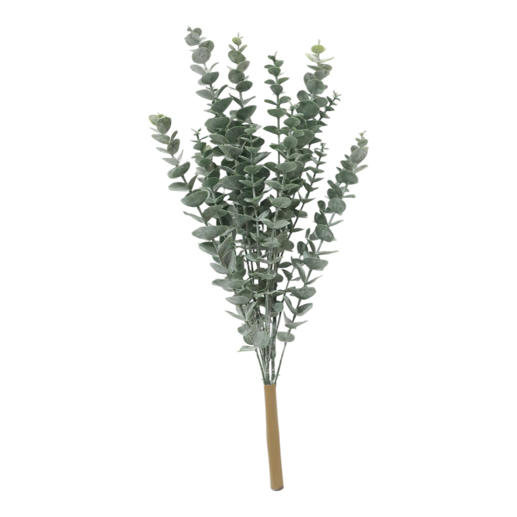 EUCALIPTO DECOR - 592-143669