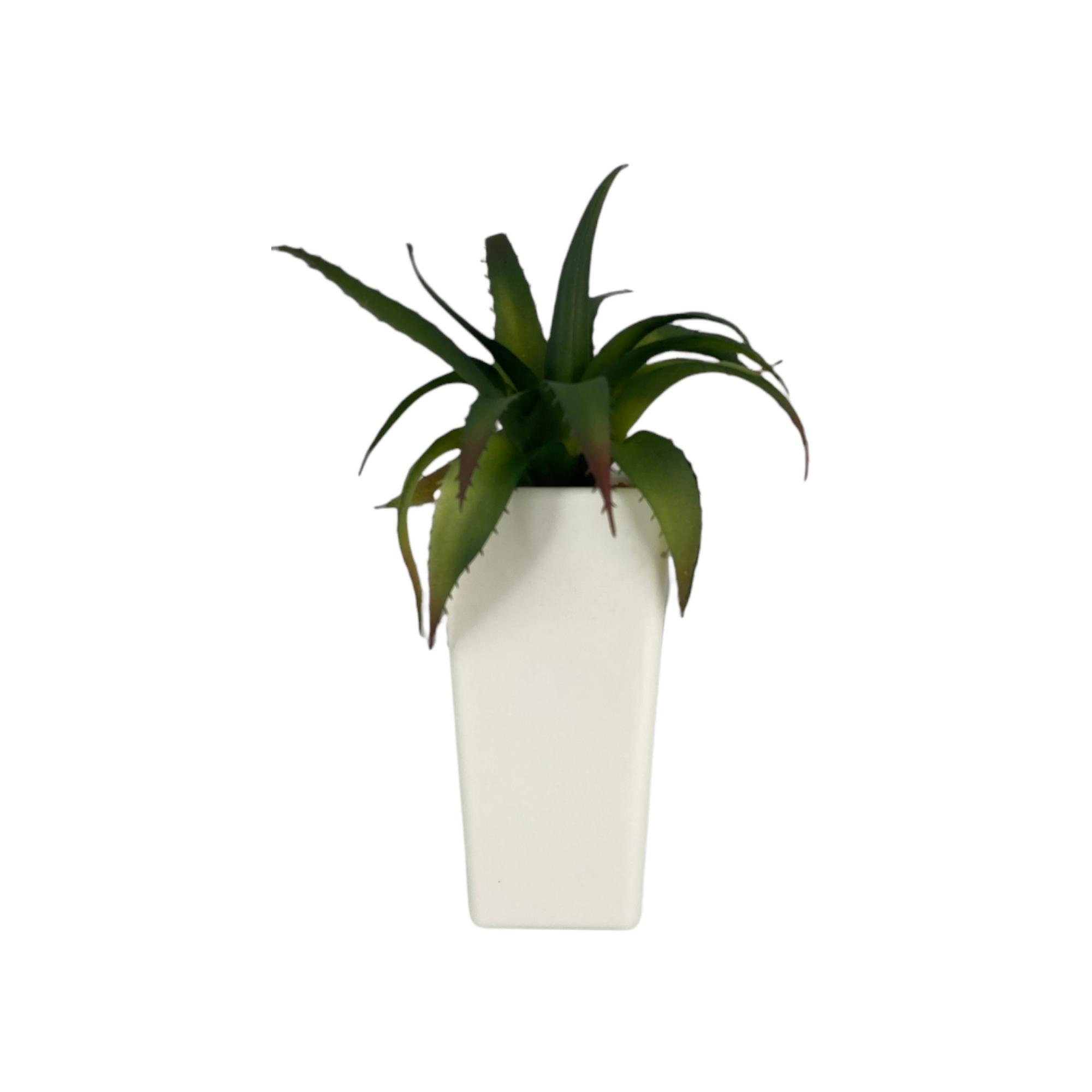 PLANTA C/POTE 12X12X23CM - 592-301399