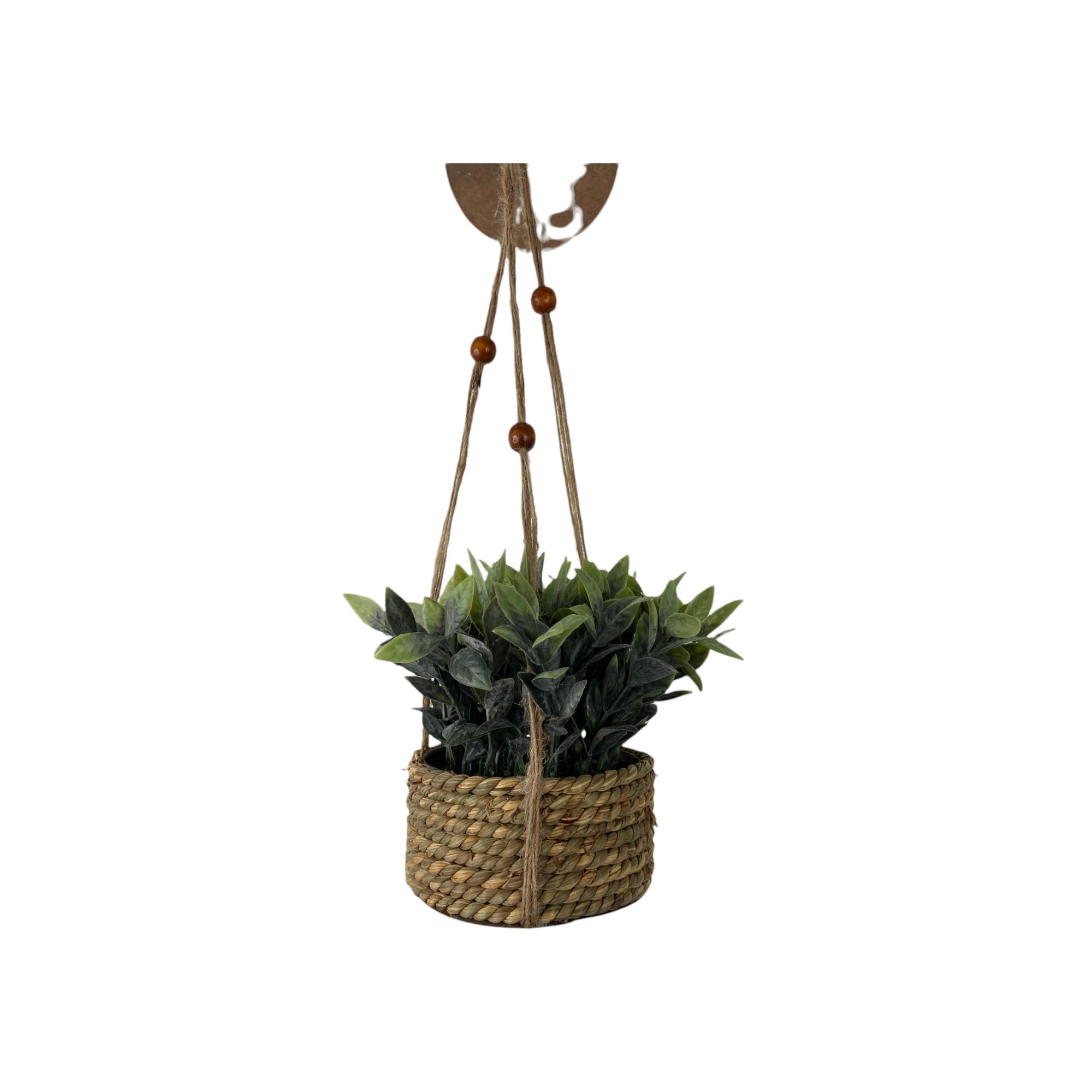 PLANTA C/POTE 18X18X15CM - 592-301403