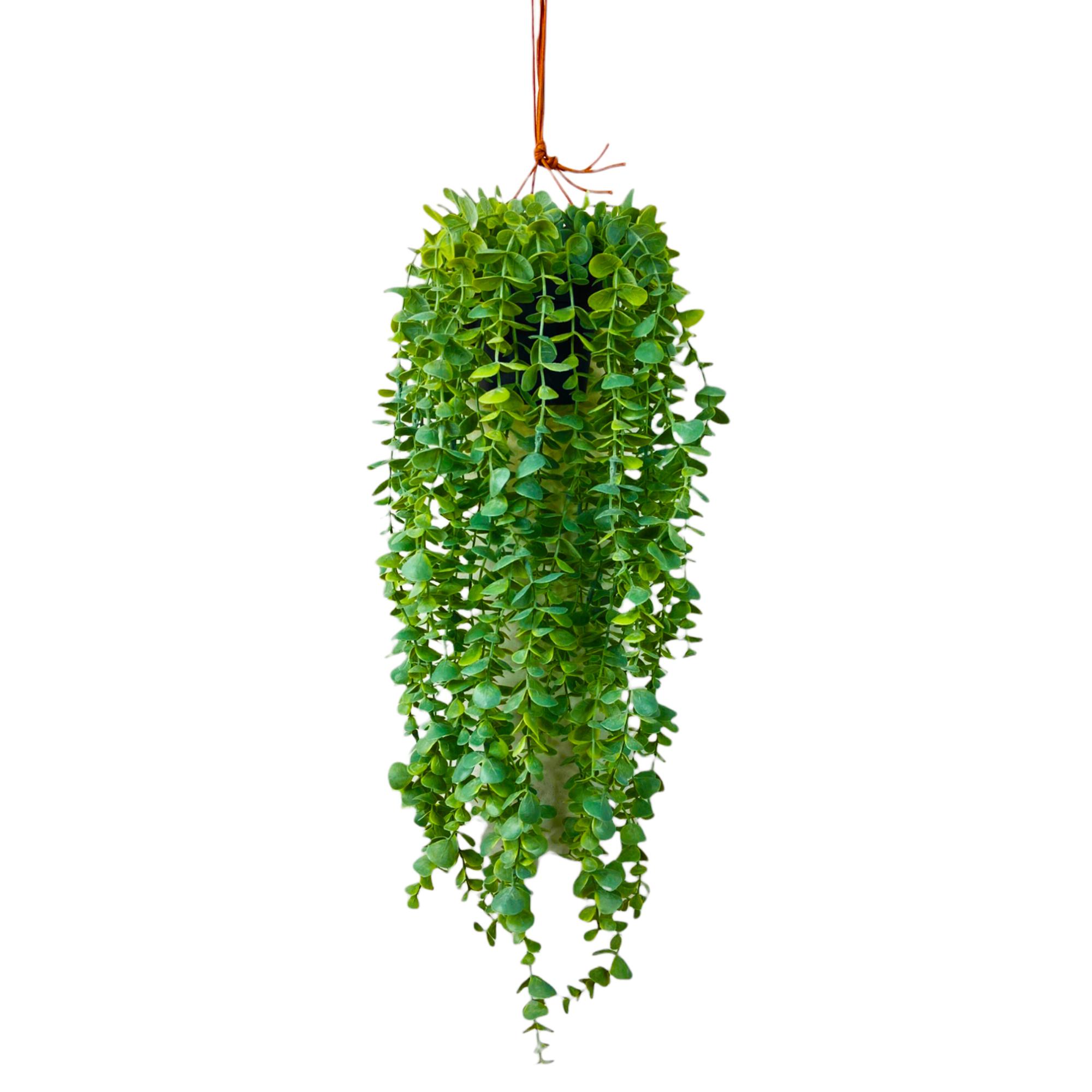 PLANTA C/POTE 28X28X60CM - 592-301426