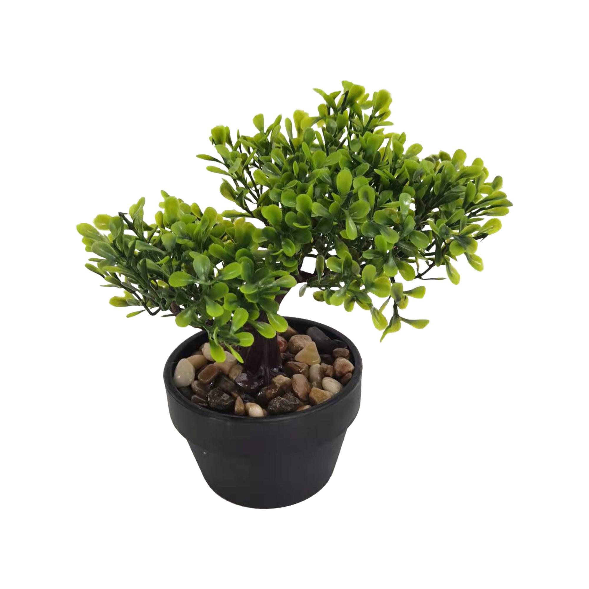 PLANTA C/POTE 18X12X19CM - Noritex