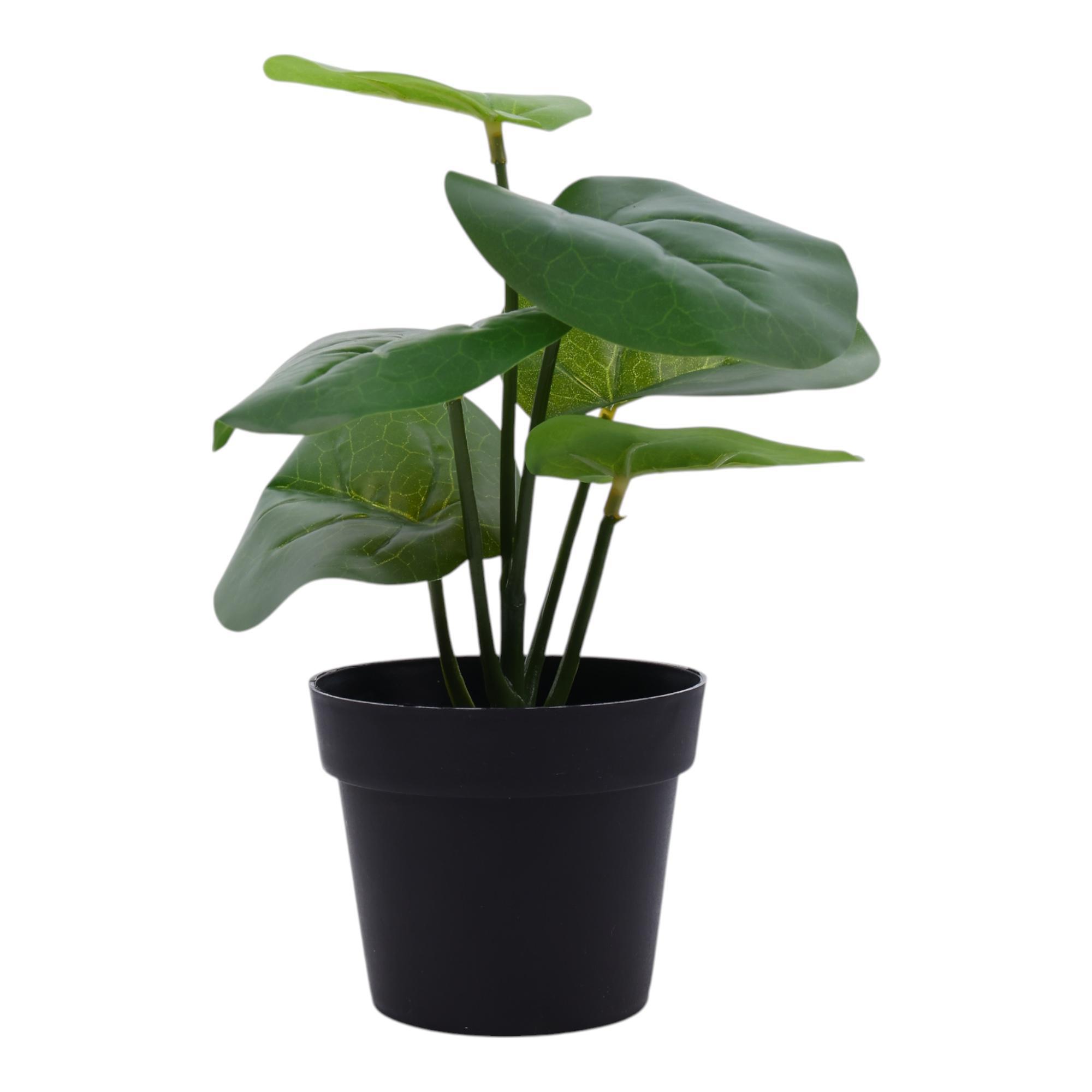 Monstera con pote 20X20X20CM - 592-301603