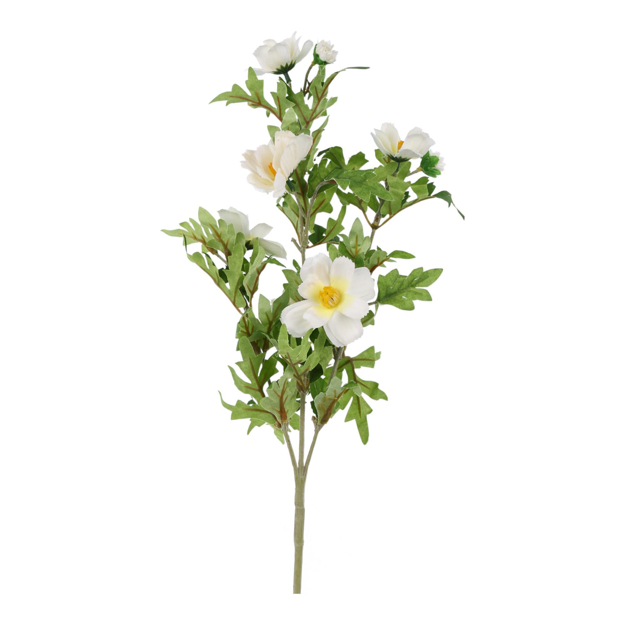 Rama Cosmo 20X15X66CM - 592-301610