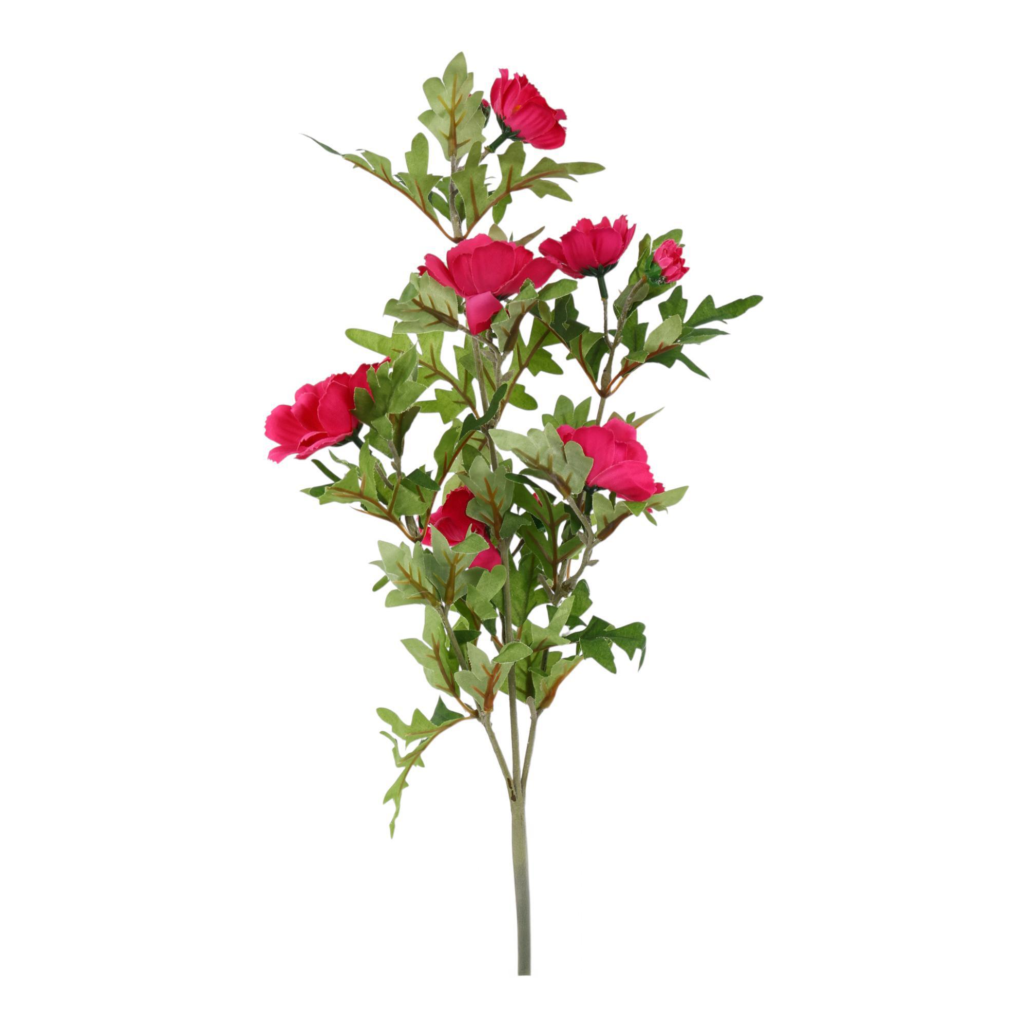 Rama Cosmo 20X15X66CM - 592-301625