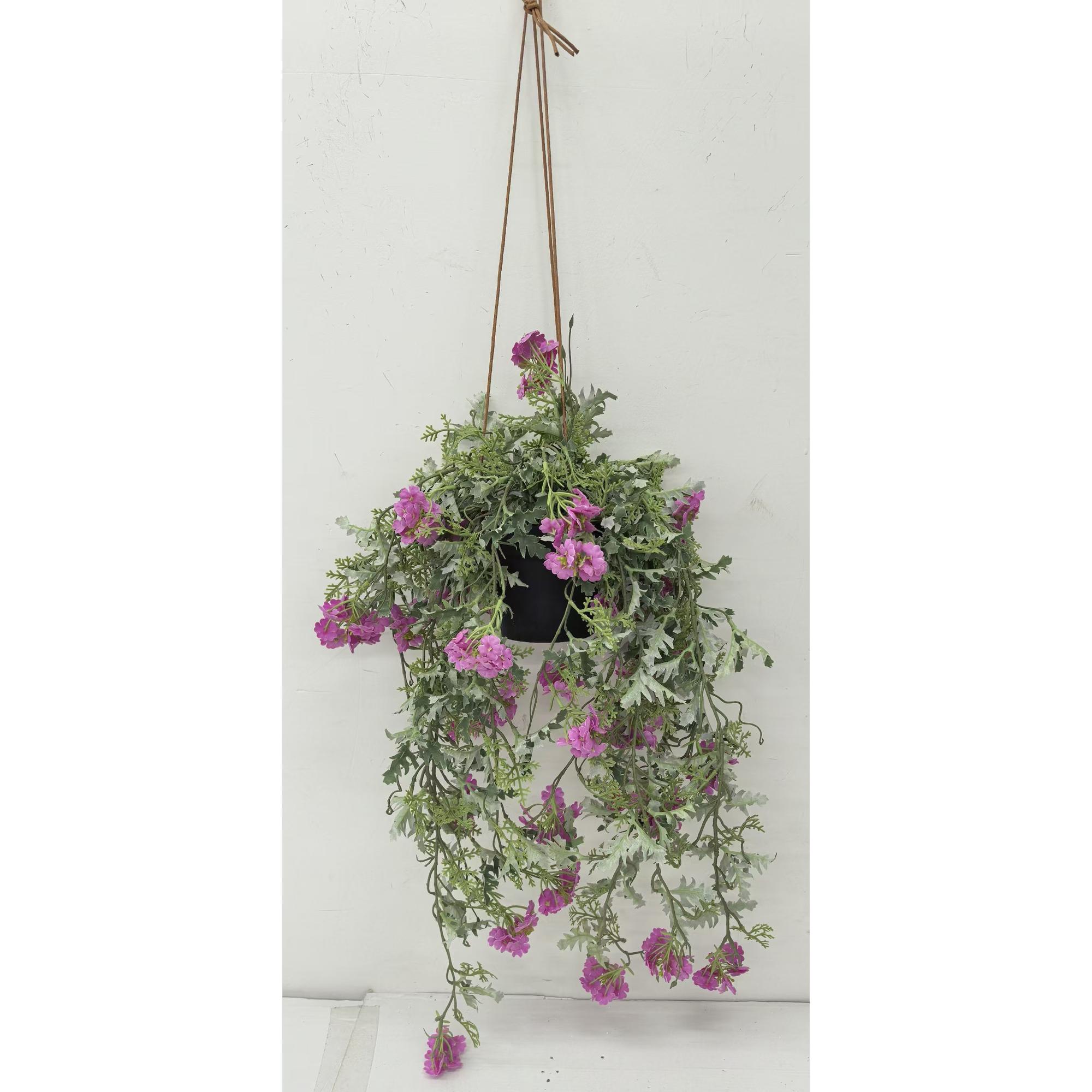 25.5(65CM) GARDEN VERBENA PLANT WITH BLACK PLASTIC POT - 592-301632