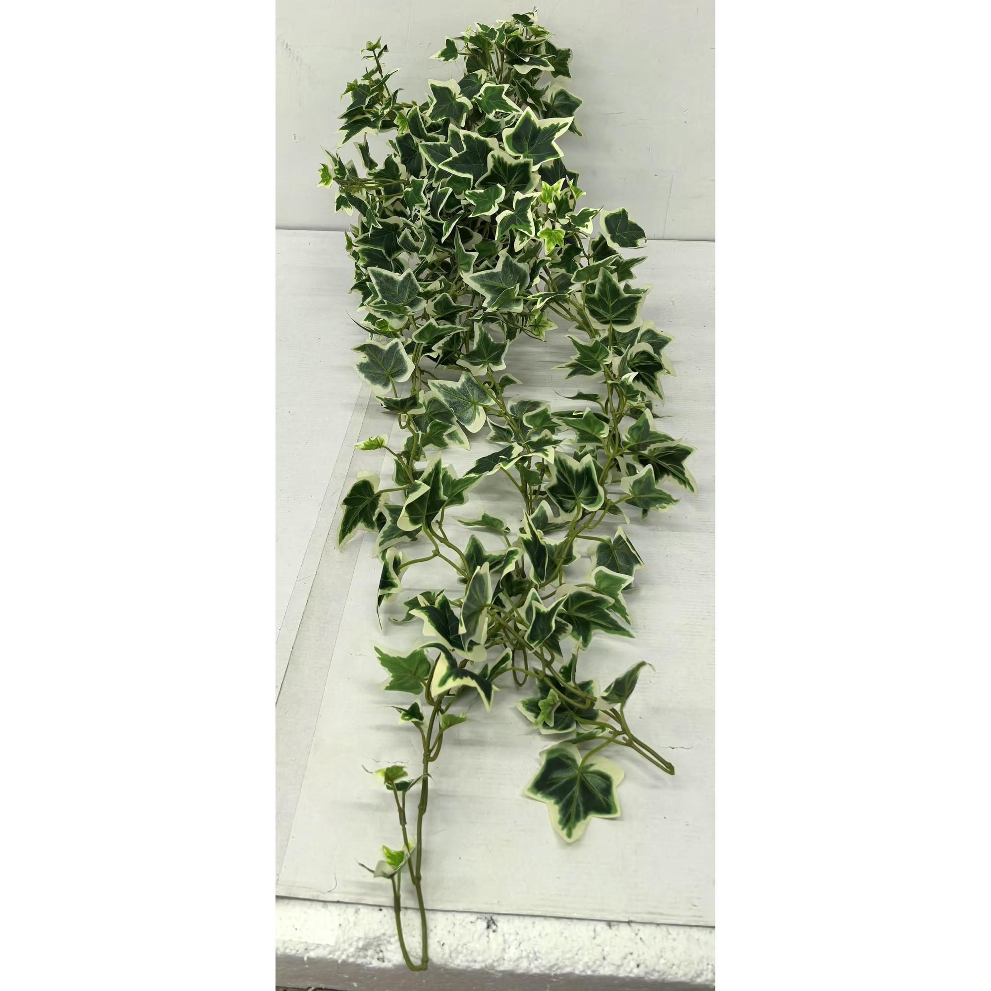 Planta colgante c/pote - 592-301633