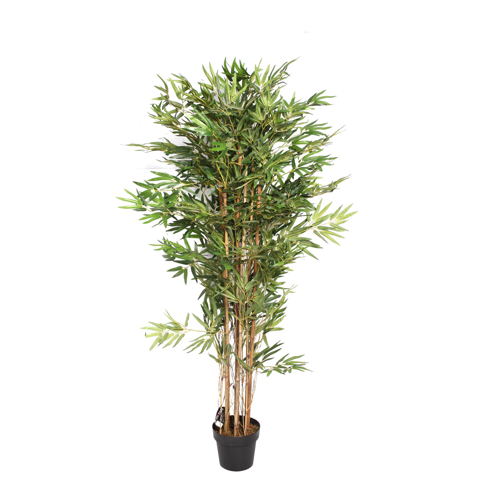 BAMBU COM PANELA - 592-311523