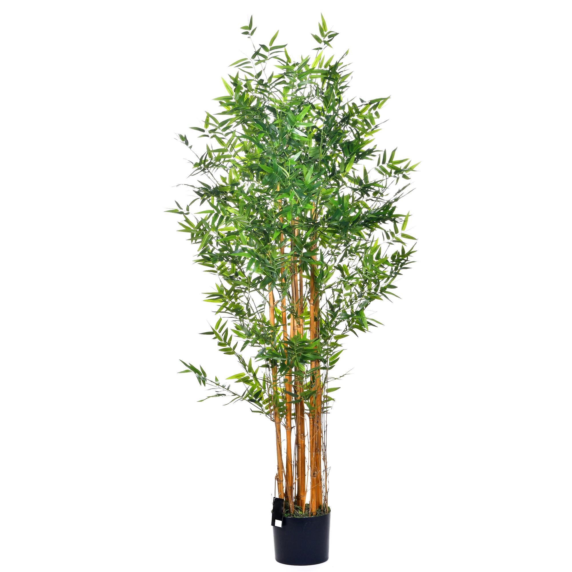 ARTE VEGETAL. COM VASO 48X48X150 CM - 592-312083