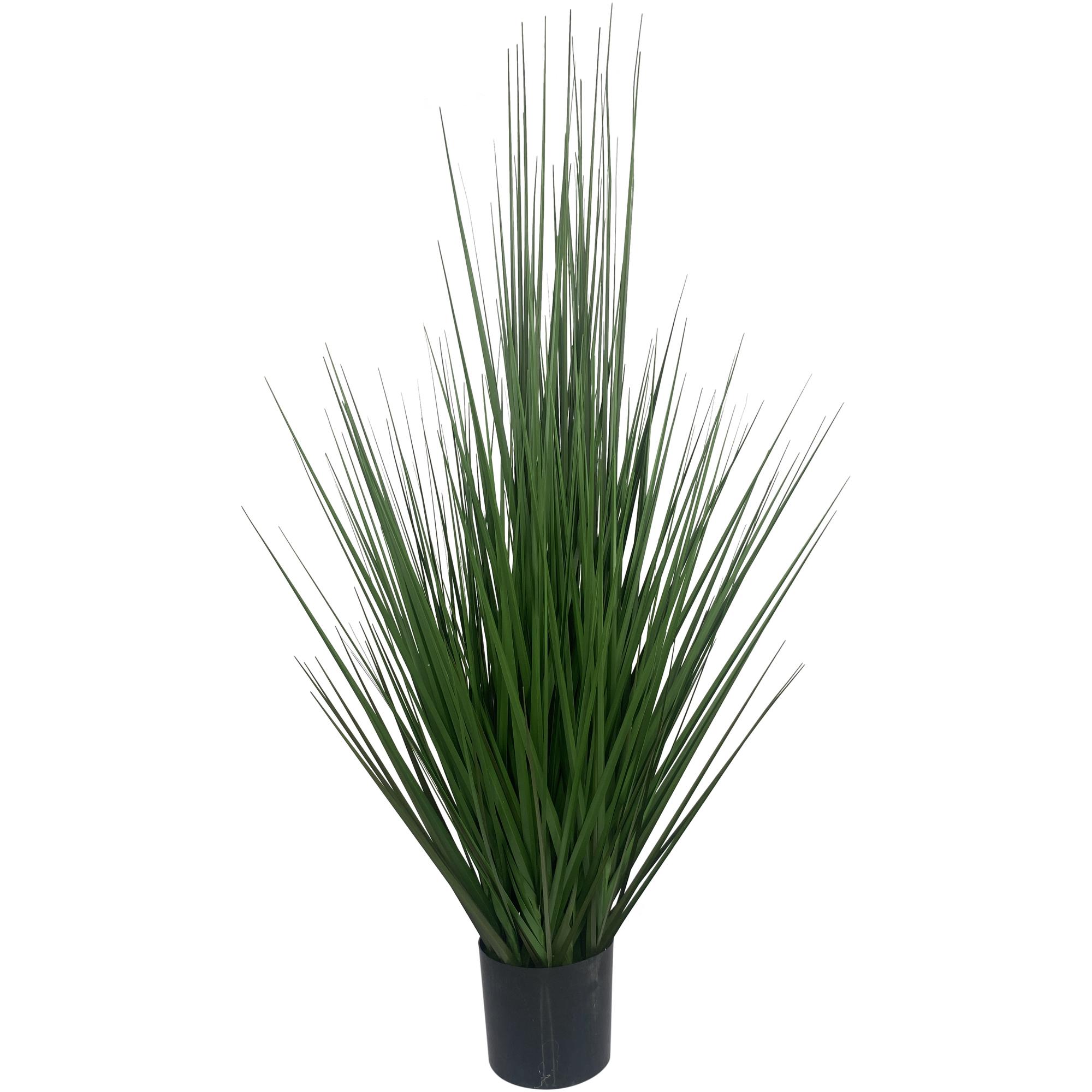 ARTE VEGETAL. C/POTE - 592-312171