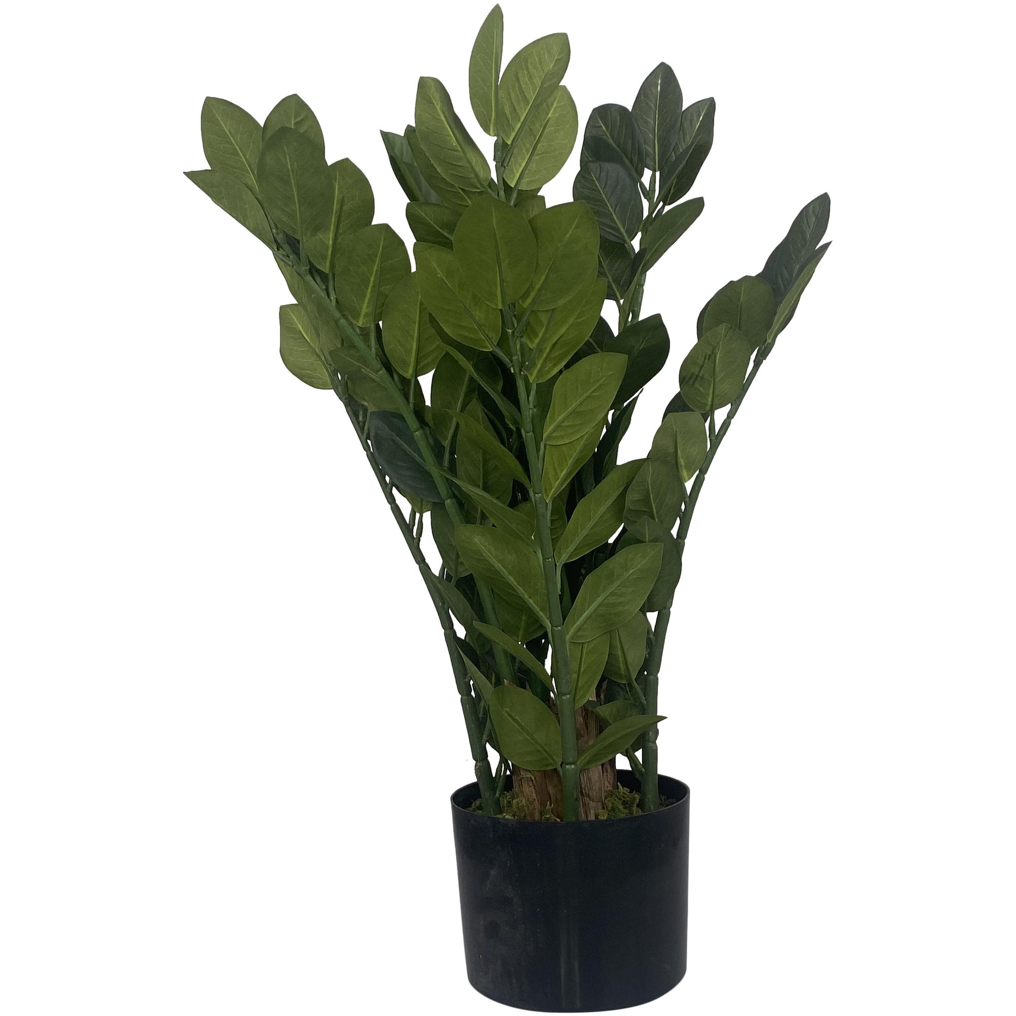 PLANTA ART. C/POTE - 592-312179