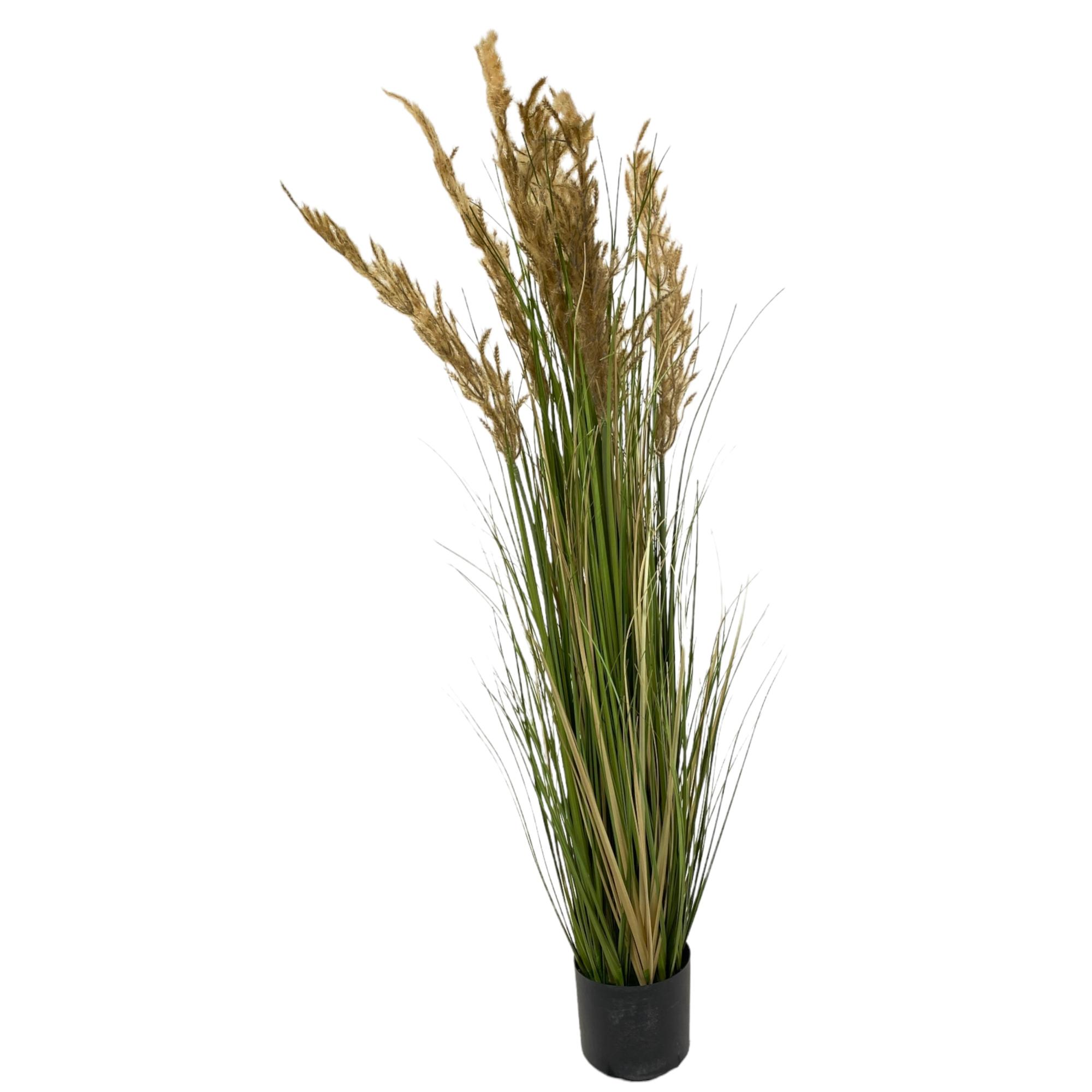 PLANTA ART. C/POTE 26X26X120CM - 592-312193