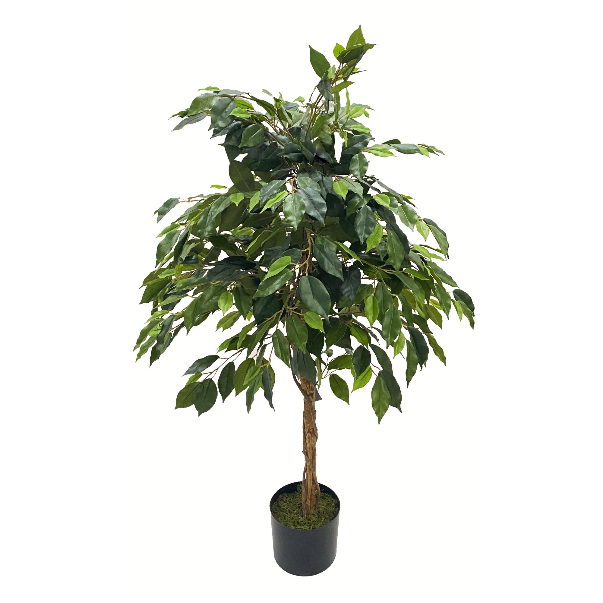 PLANTA ART. C/POTE 48X48X120CM - 592-312201