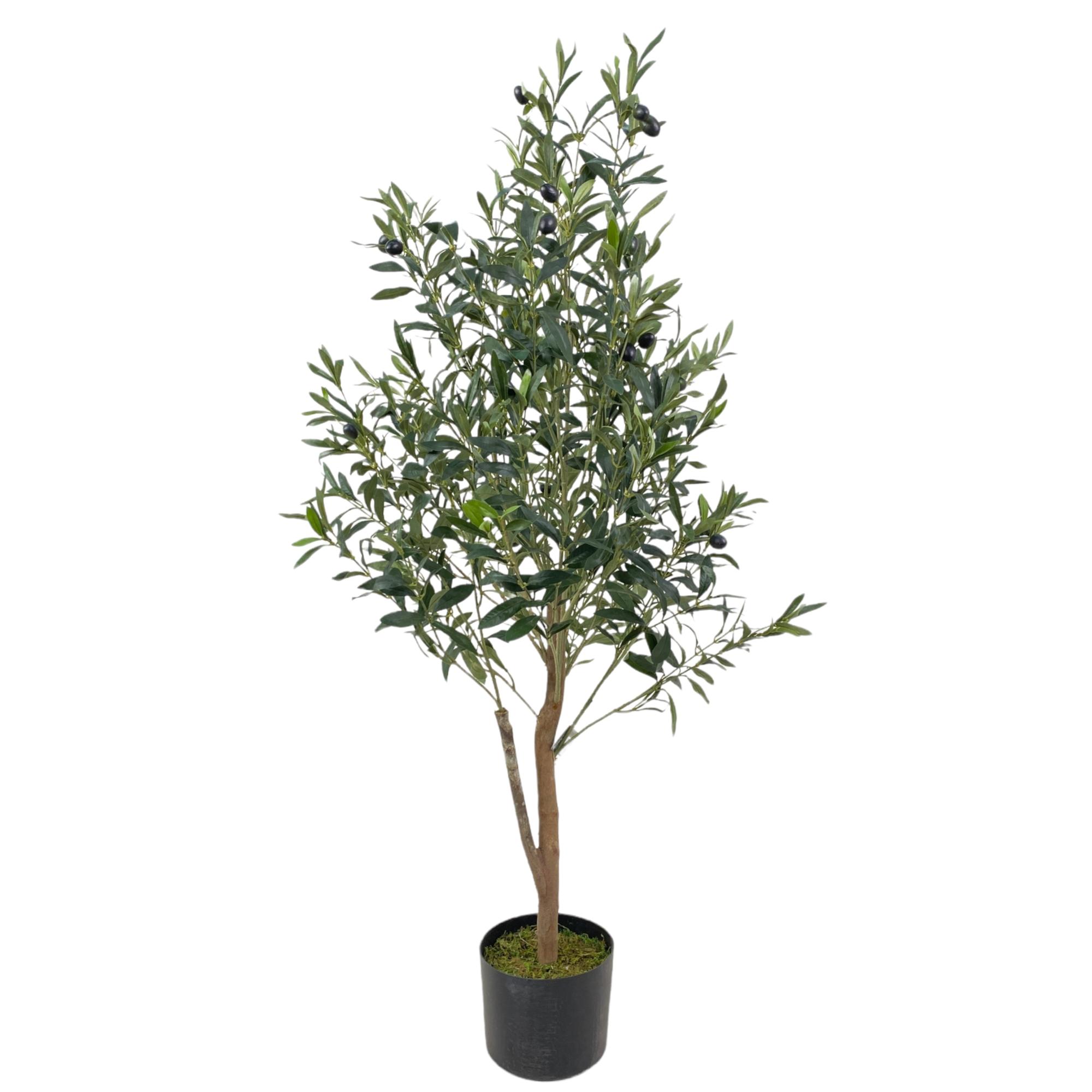 PLANTA ART. C/POTE - 592-312206