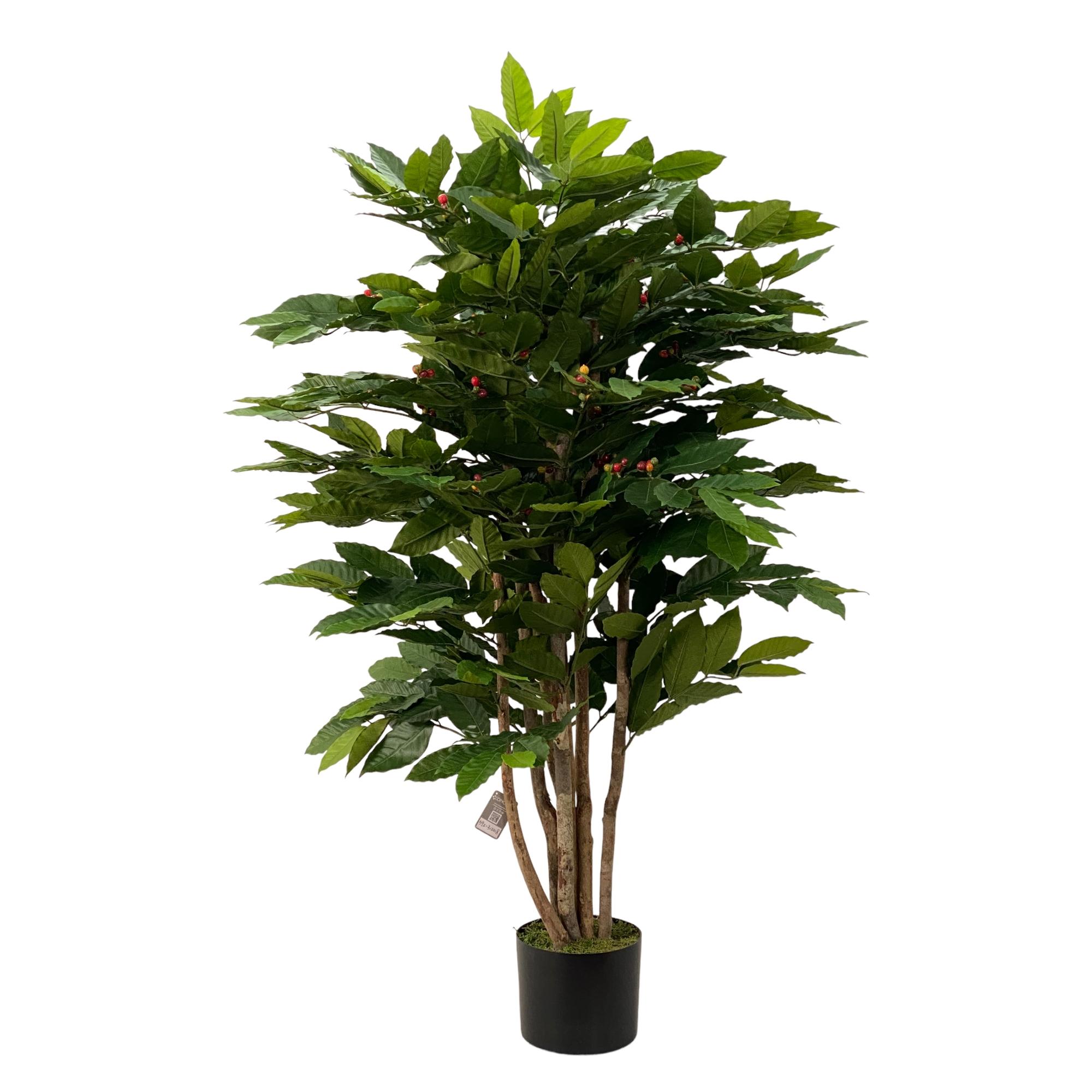 120cm Coffee tree with pot - 592-312218